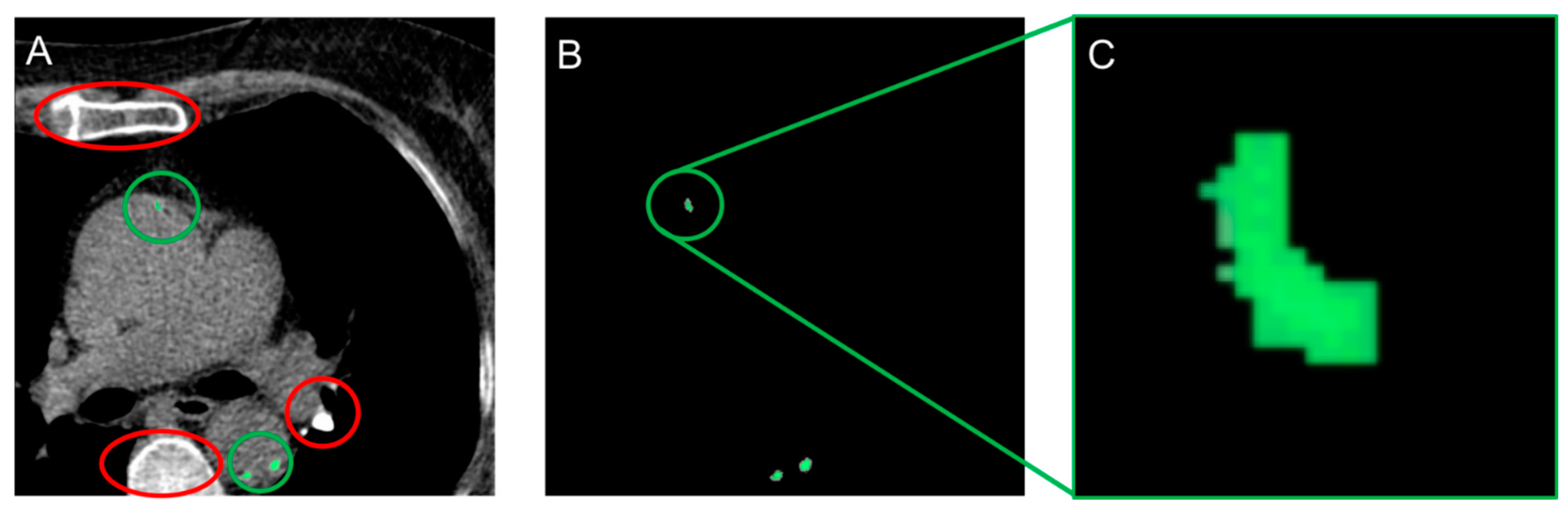 Diagnostics 11 00215 g001