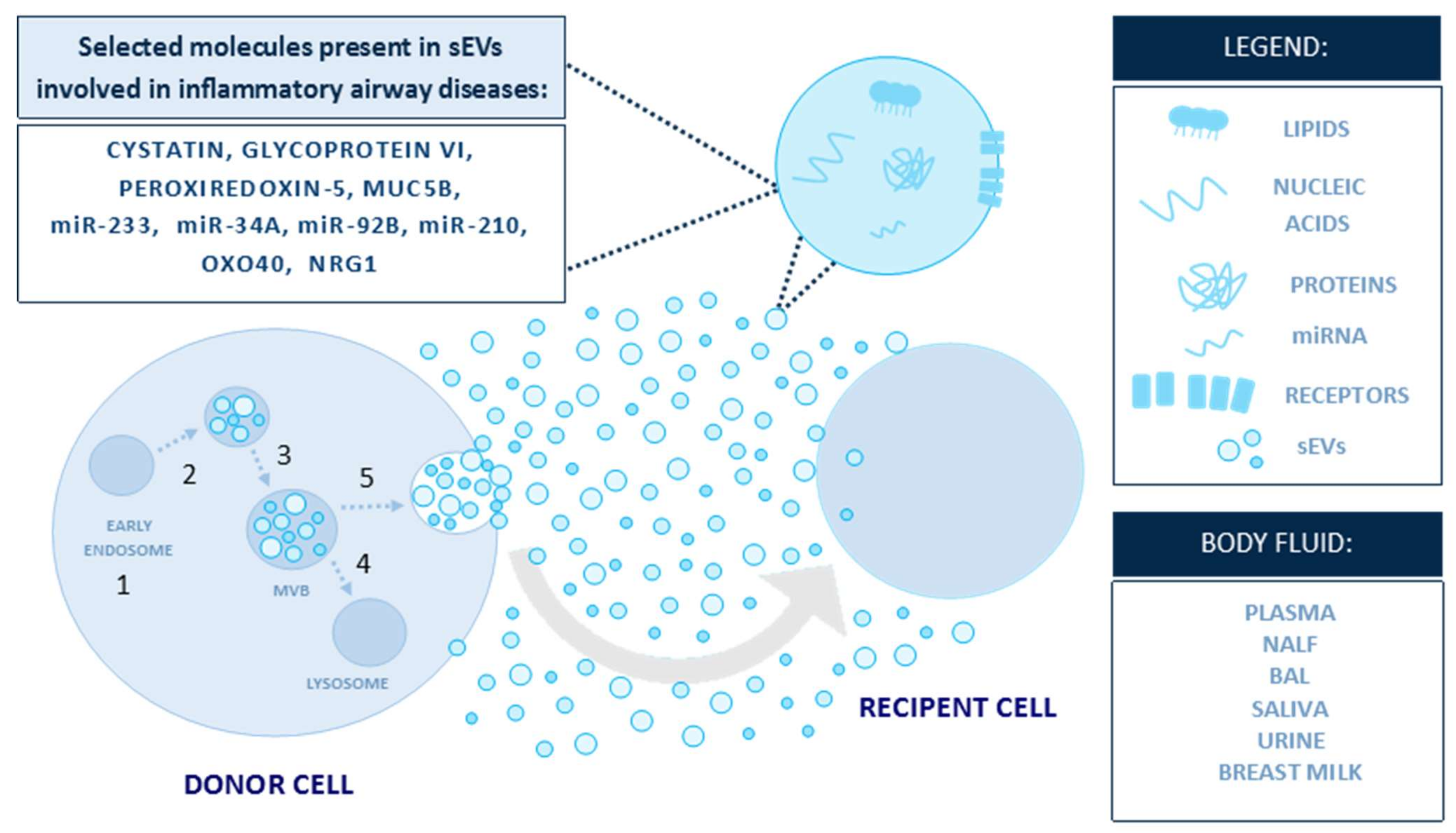 Diagnostics 11 00222 g002 Diagnostics 11 00222 g002