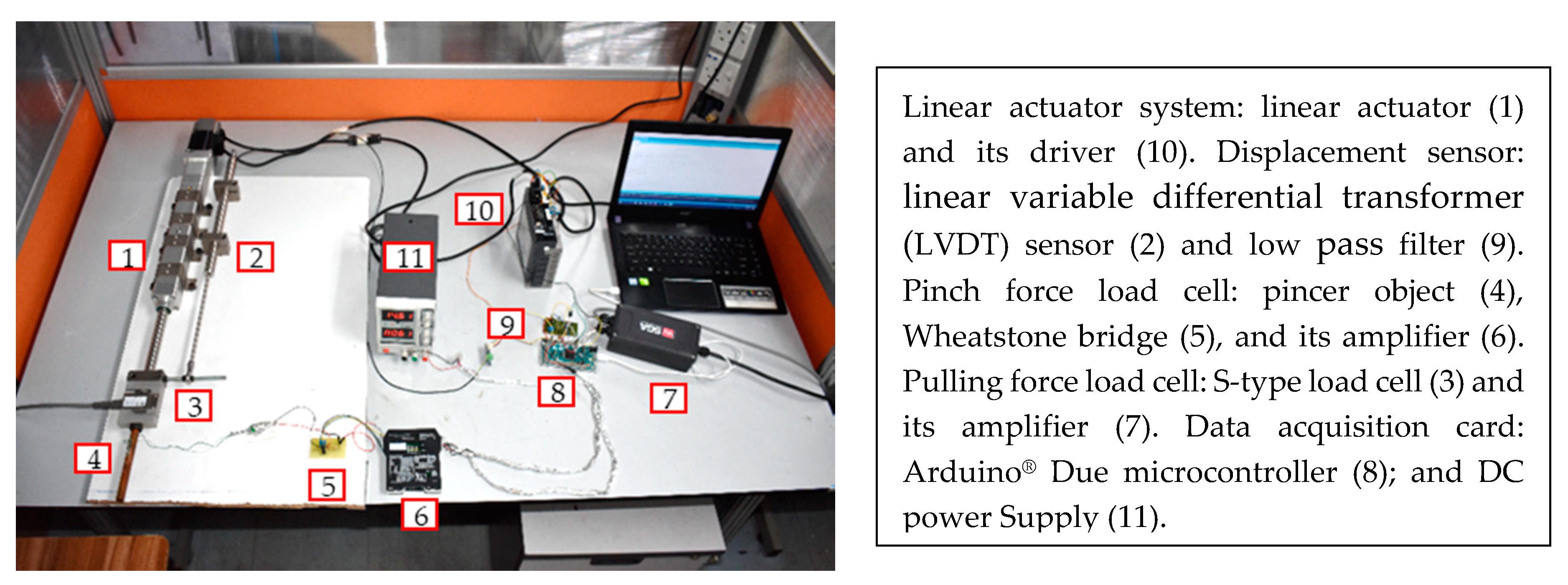 Diagnostics 11 00225 g002