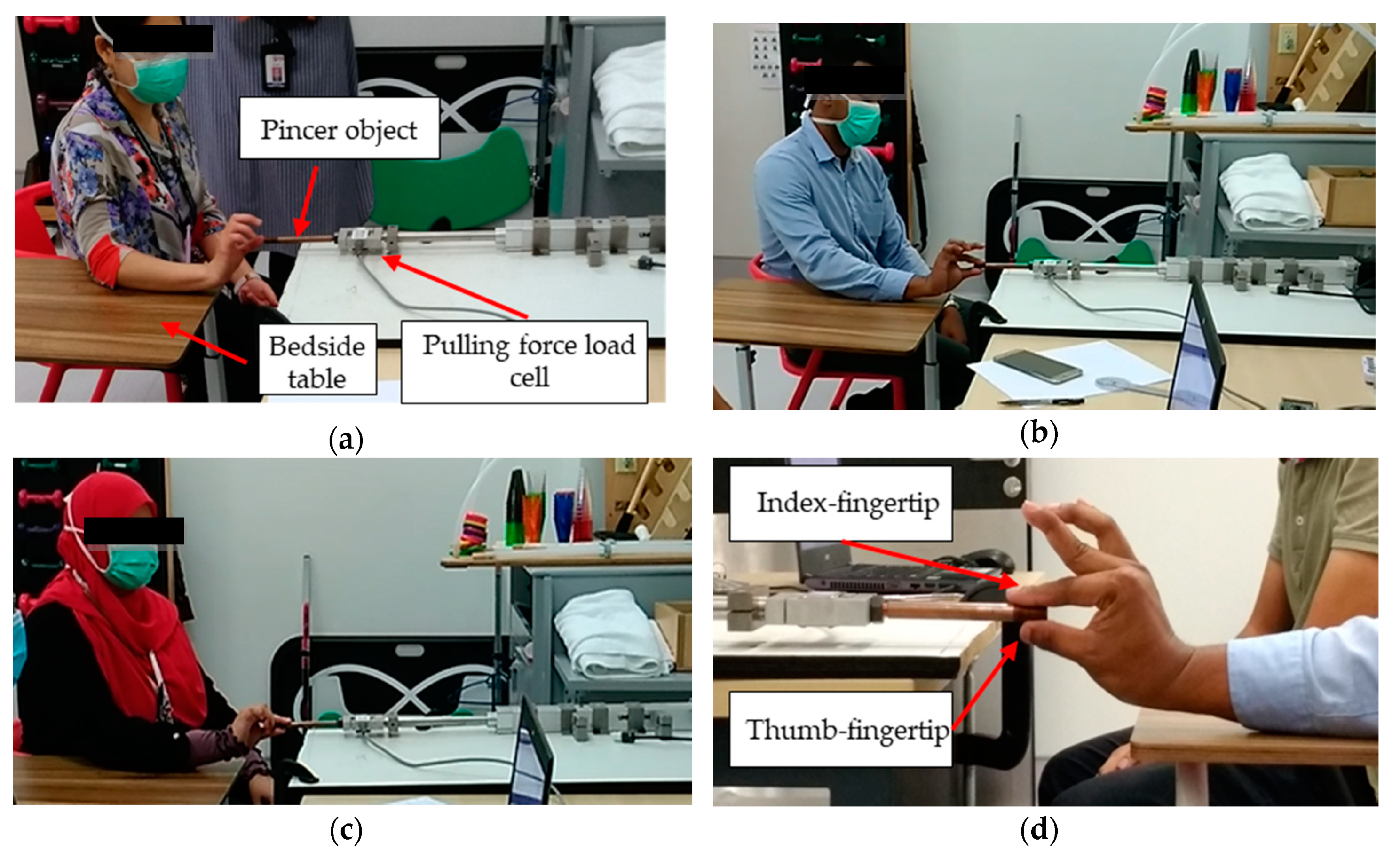 Diagnostics 11 00225 g003