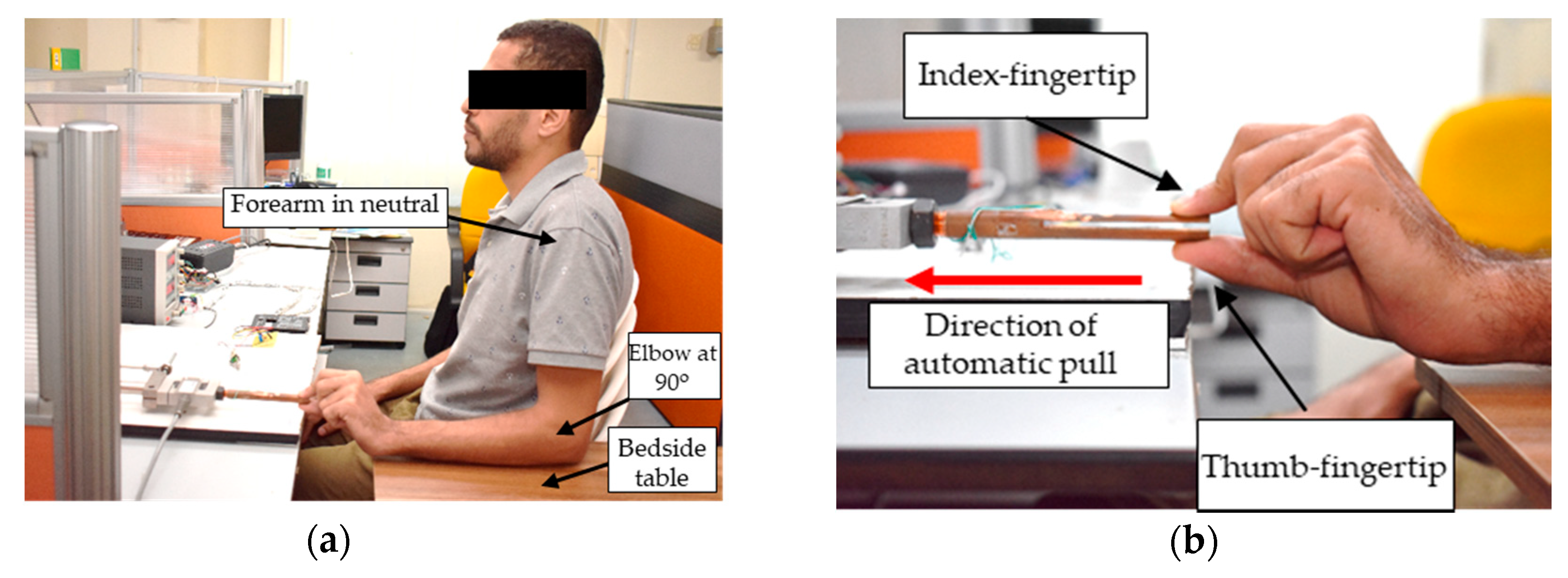 Diagnostics 11 00225 g004