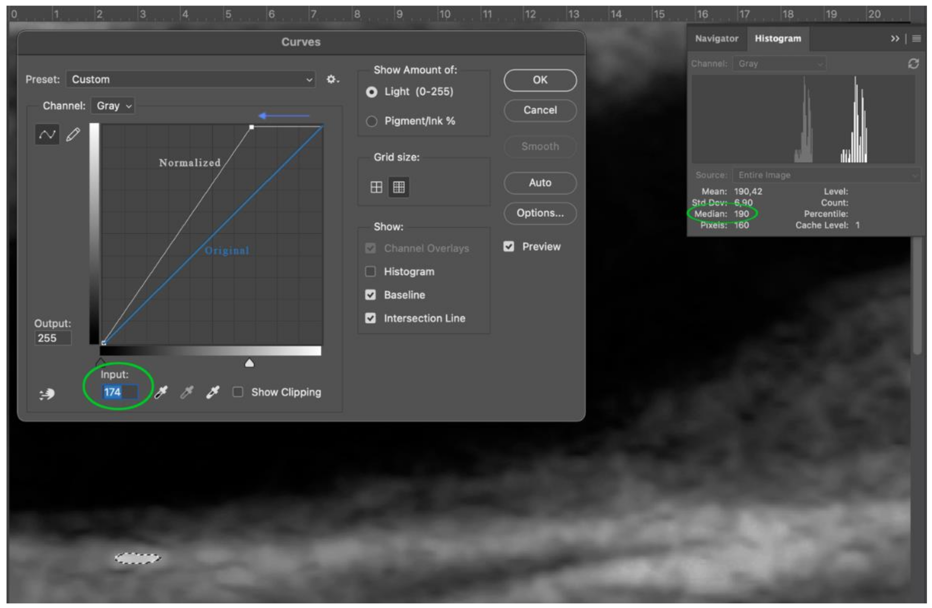 Diagnostics 11 00229 g004