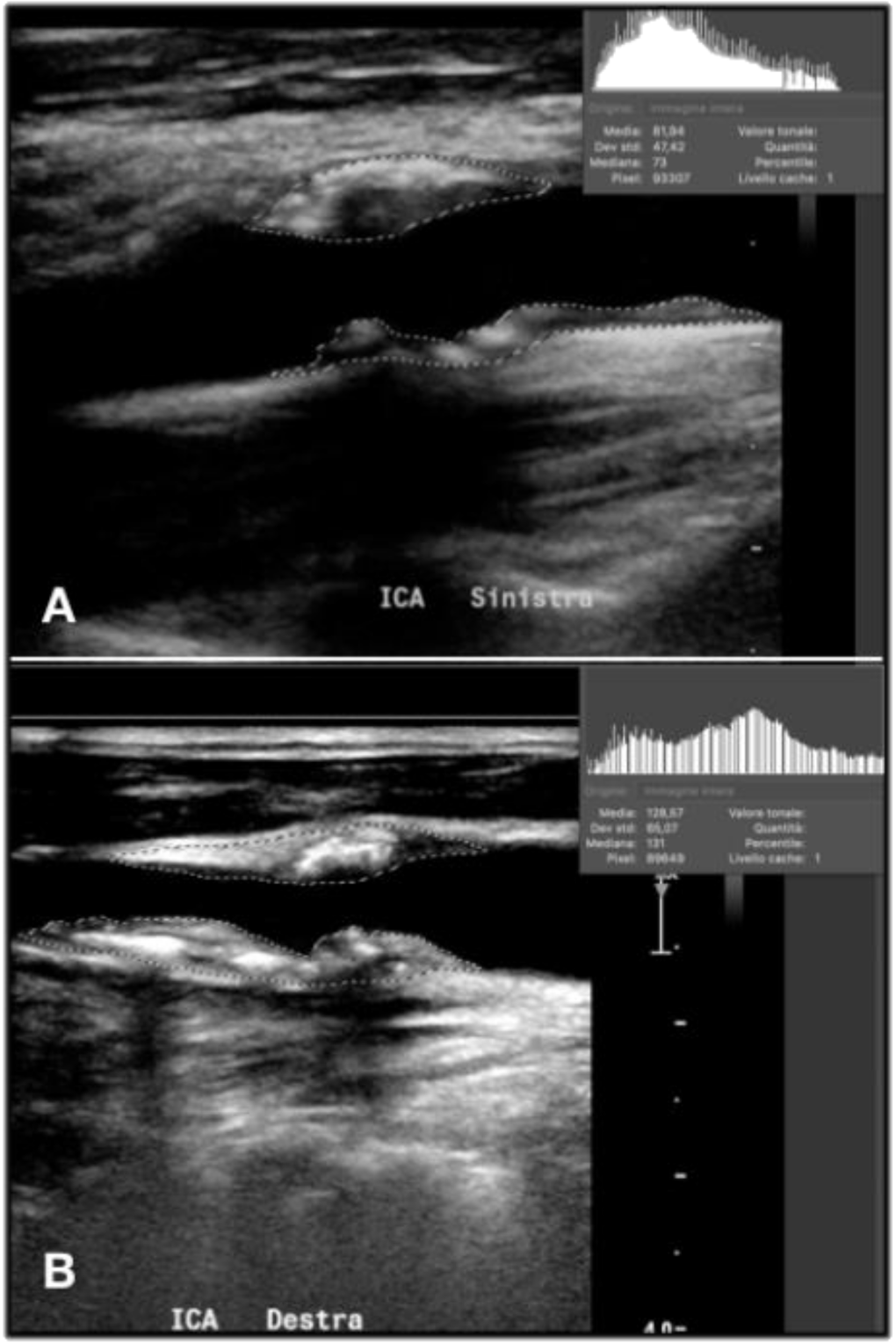 Diagnostics 11 00229 g006