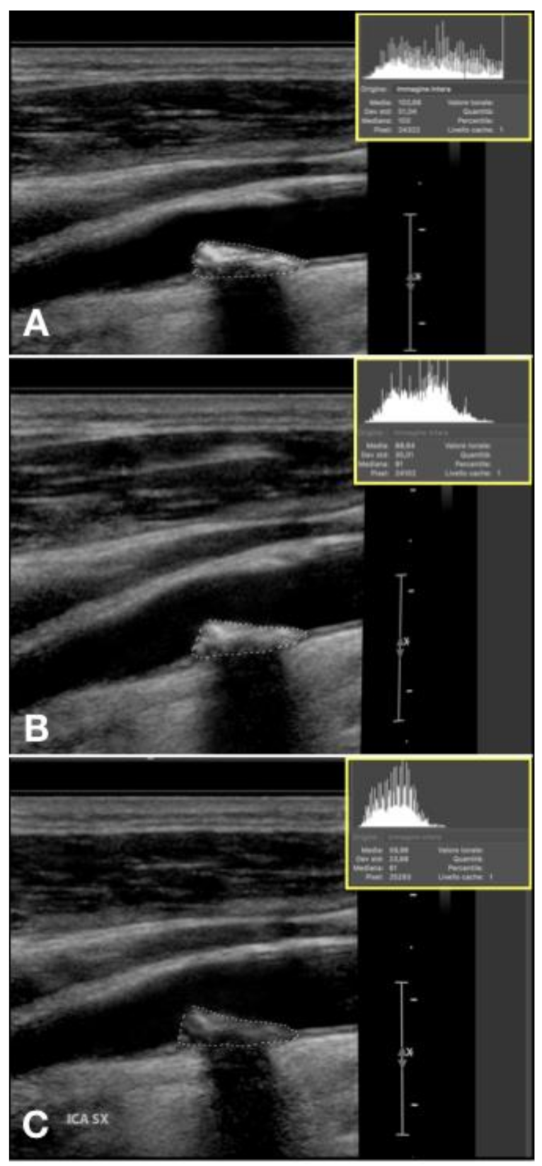 Diagnostics 11 00229 g009
