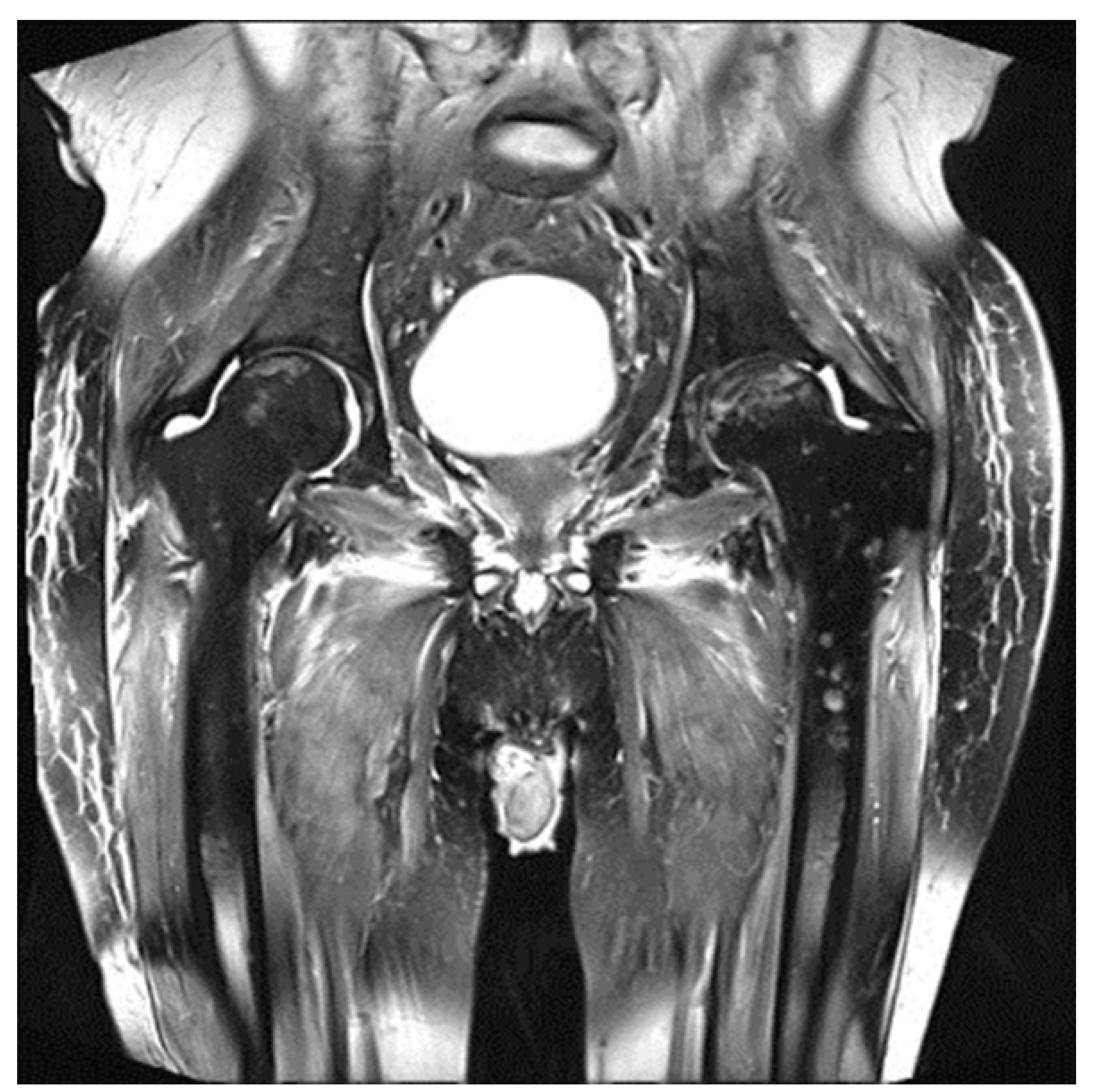 Diagnostics 11 00230 g001
