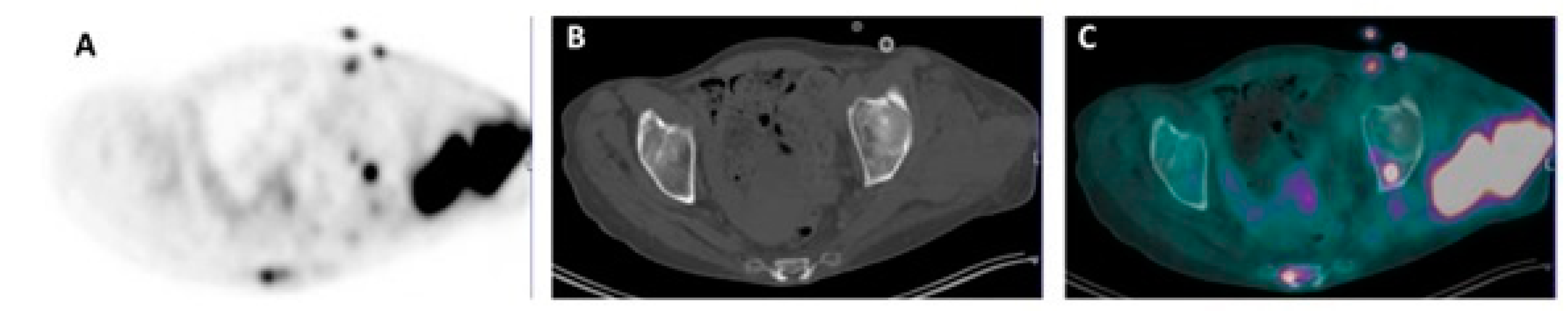 Diagnostics 11 00230 g002