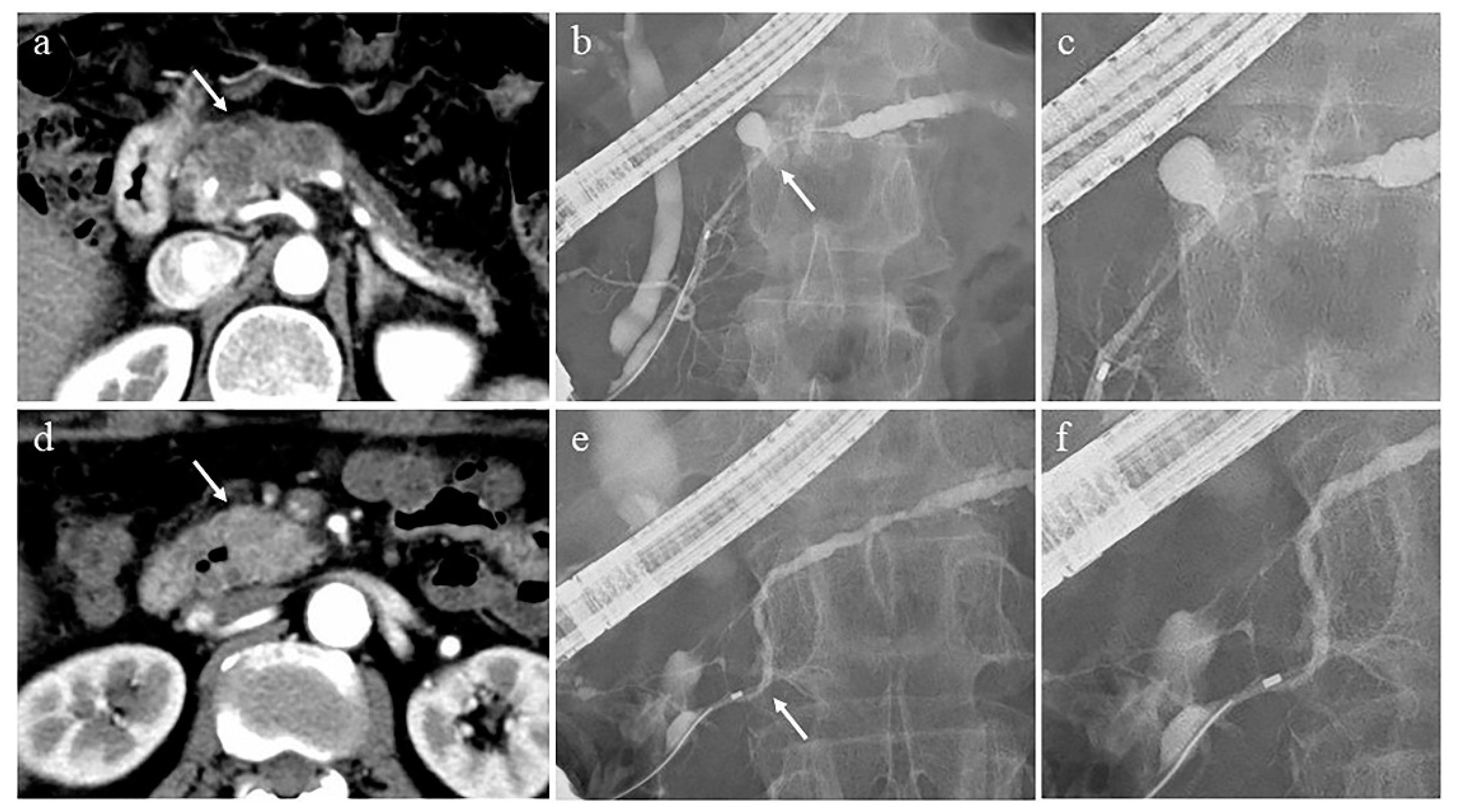 Diagnostics 11 00238 g002 Diagnostics 11 00238 g002