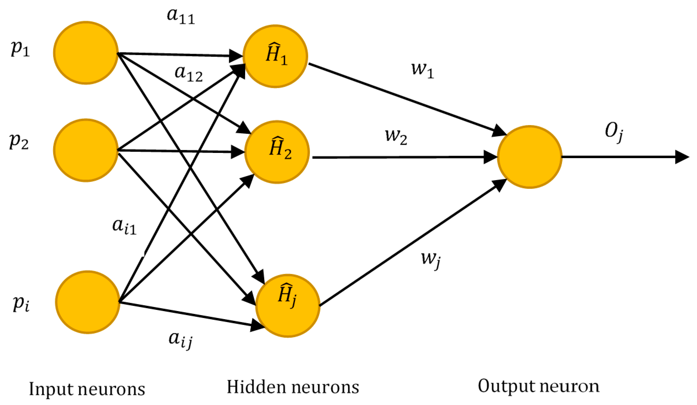 Diagnostics 11 00241 g002