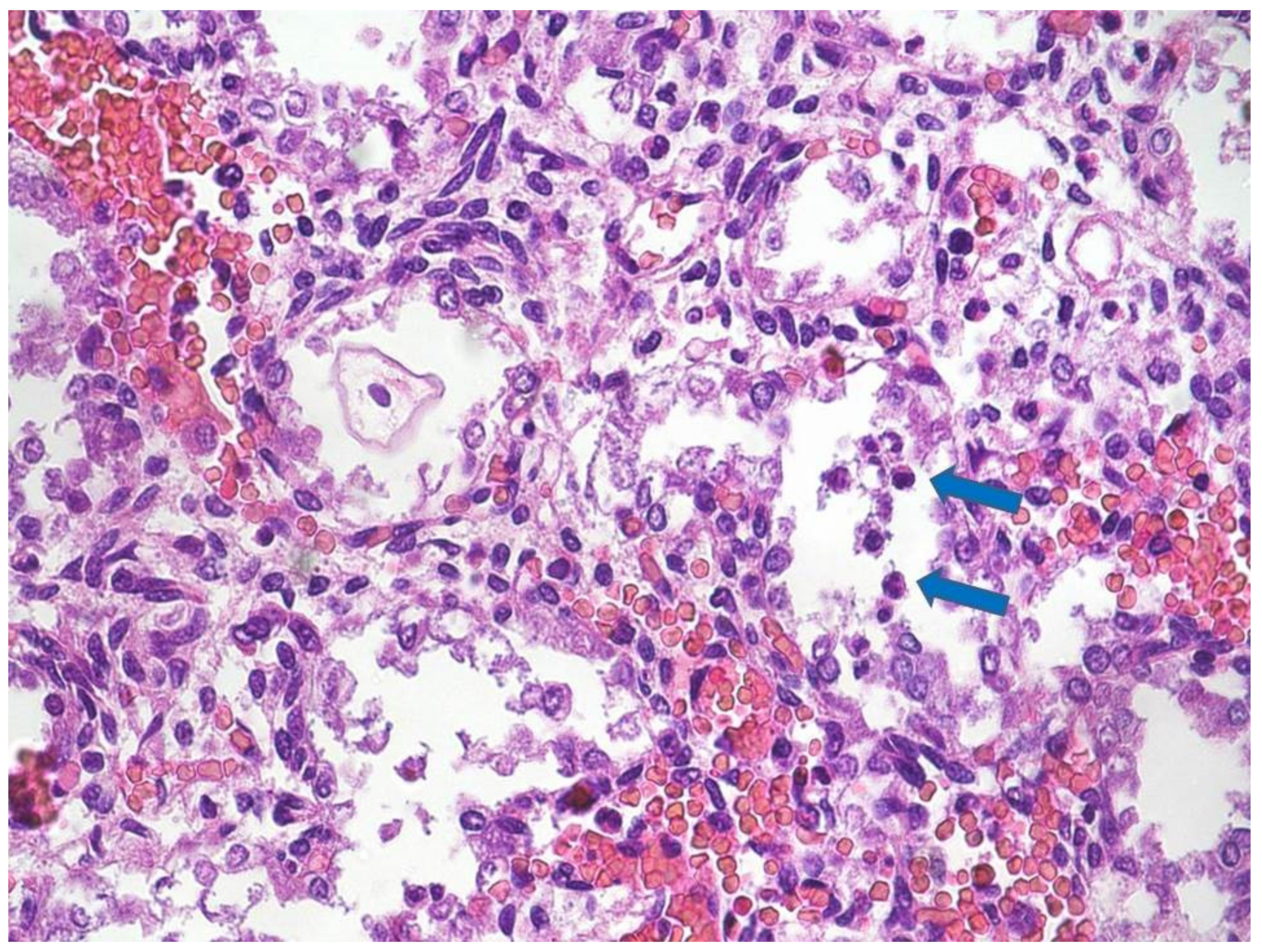 Diagnostics 11 00243 g001