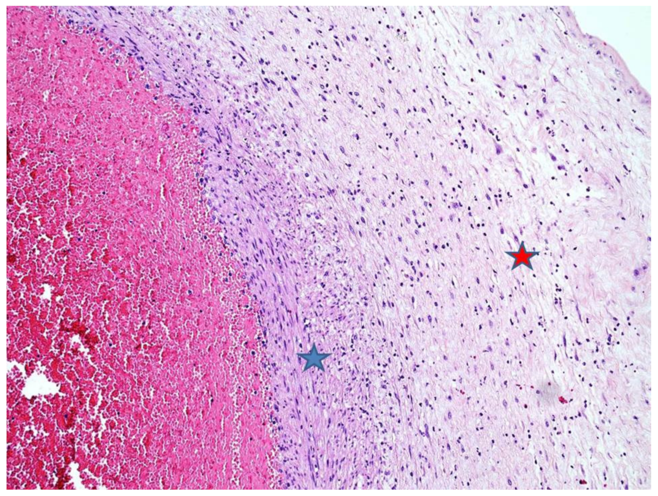 Diagnostics 11 00243 g004