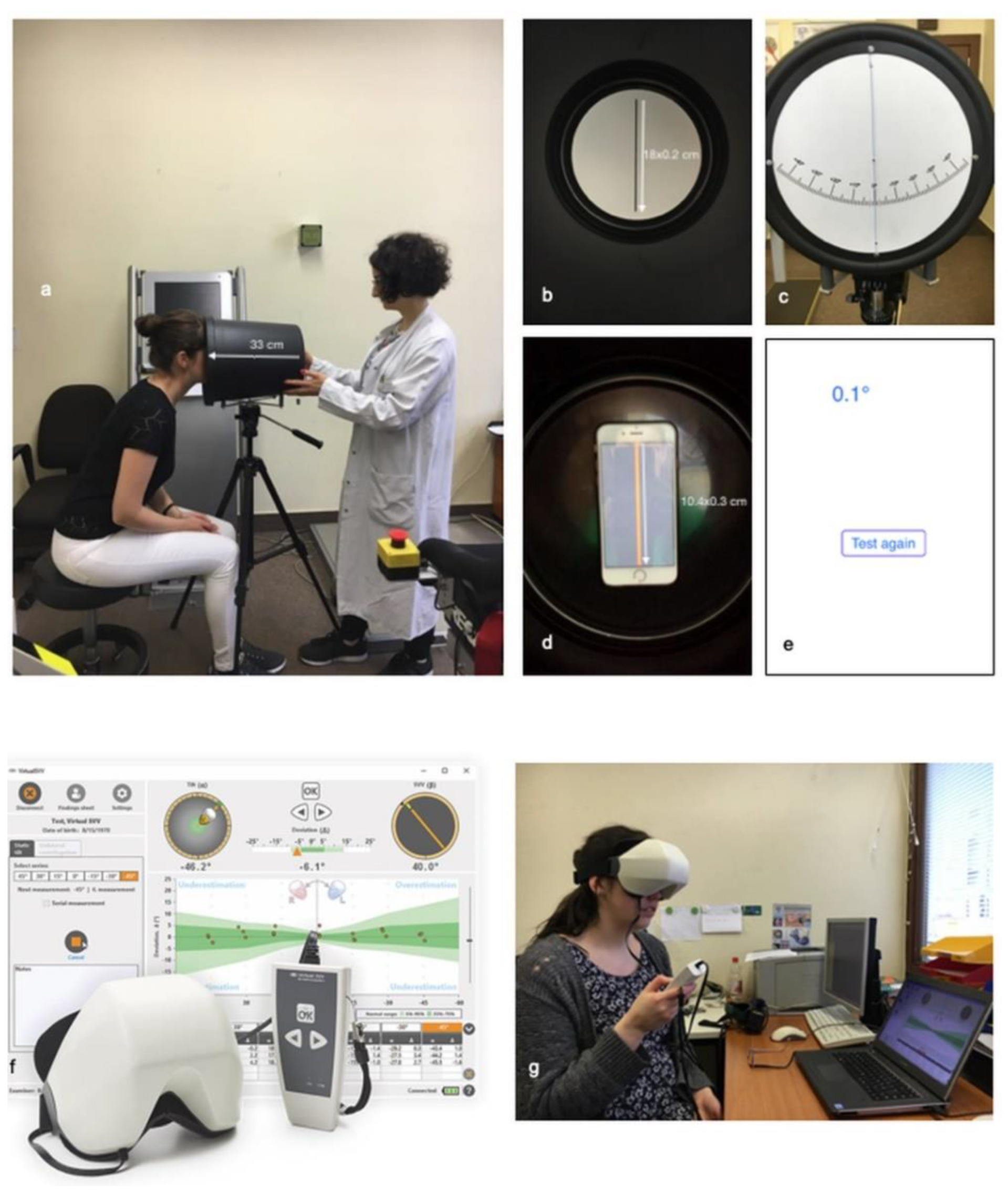 Diagnostics 11 00249 g001