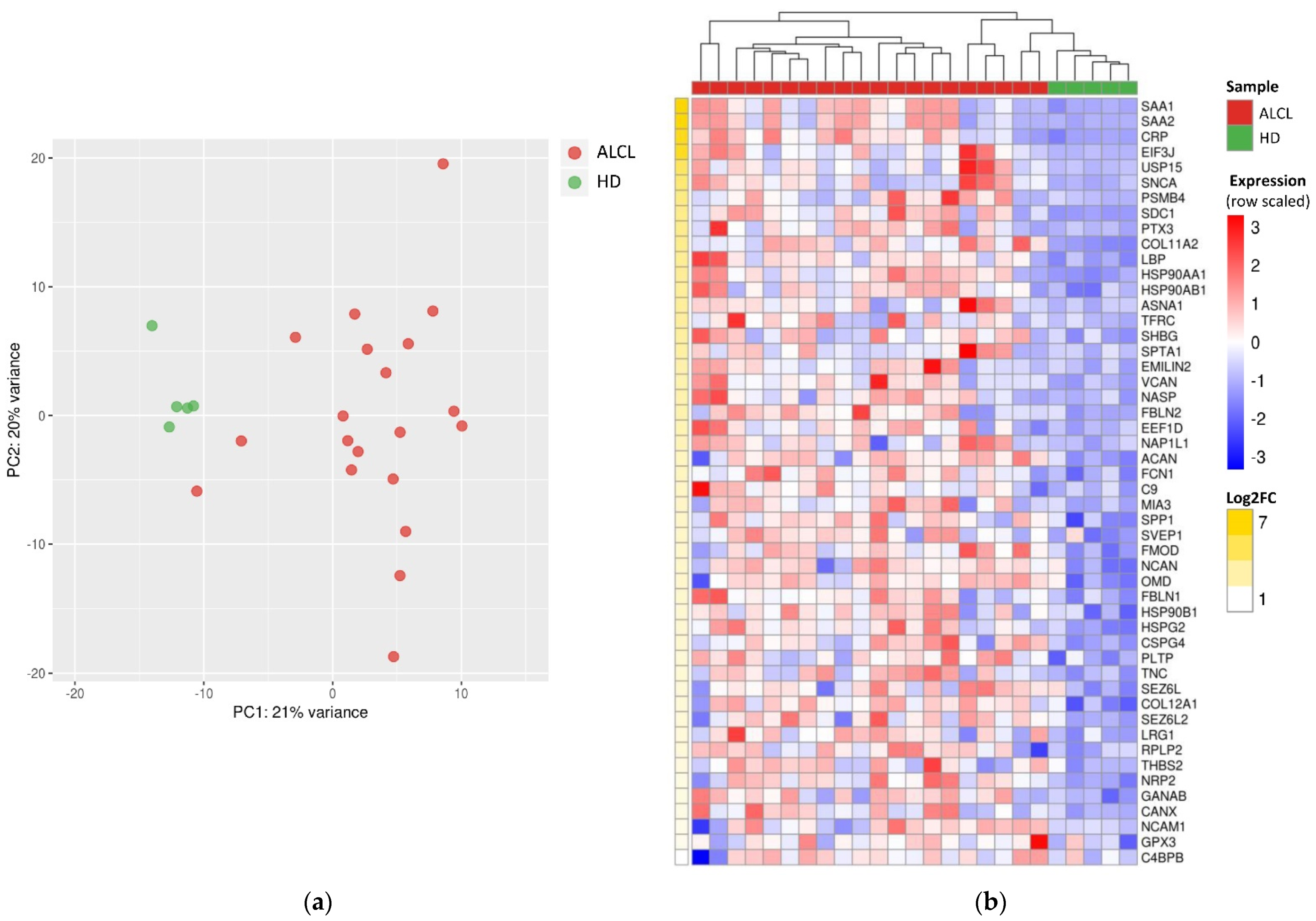 Diagnostics 11 00253 g002
