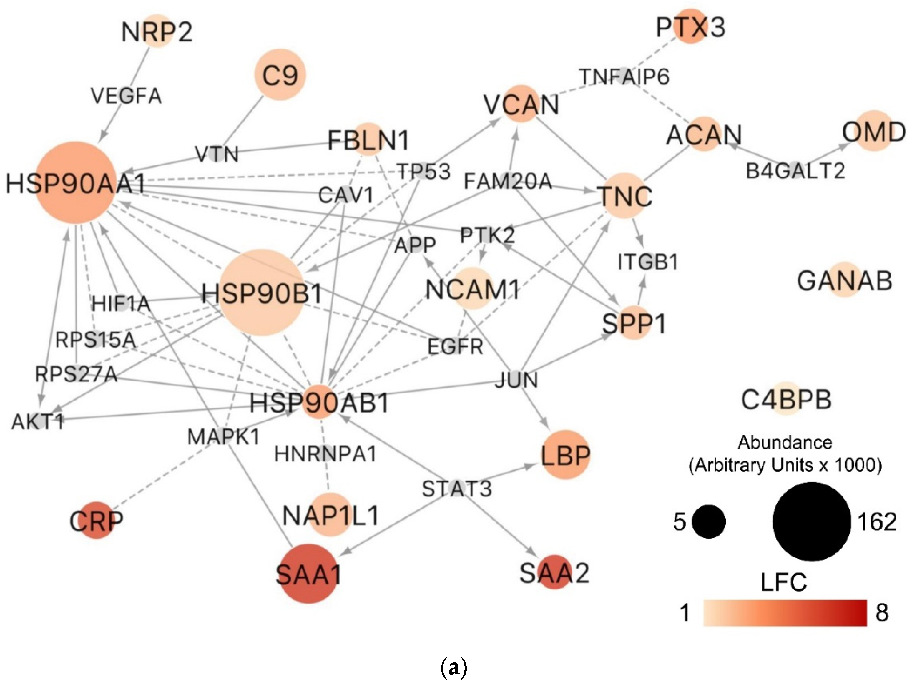 Diagnostics 11 00253 g004a