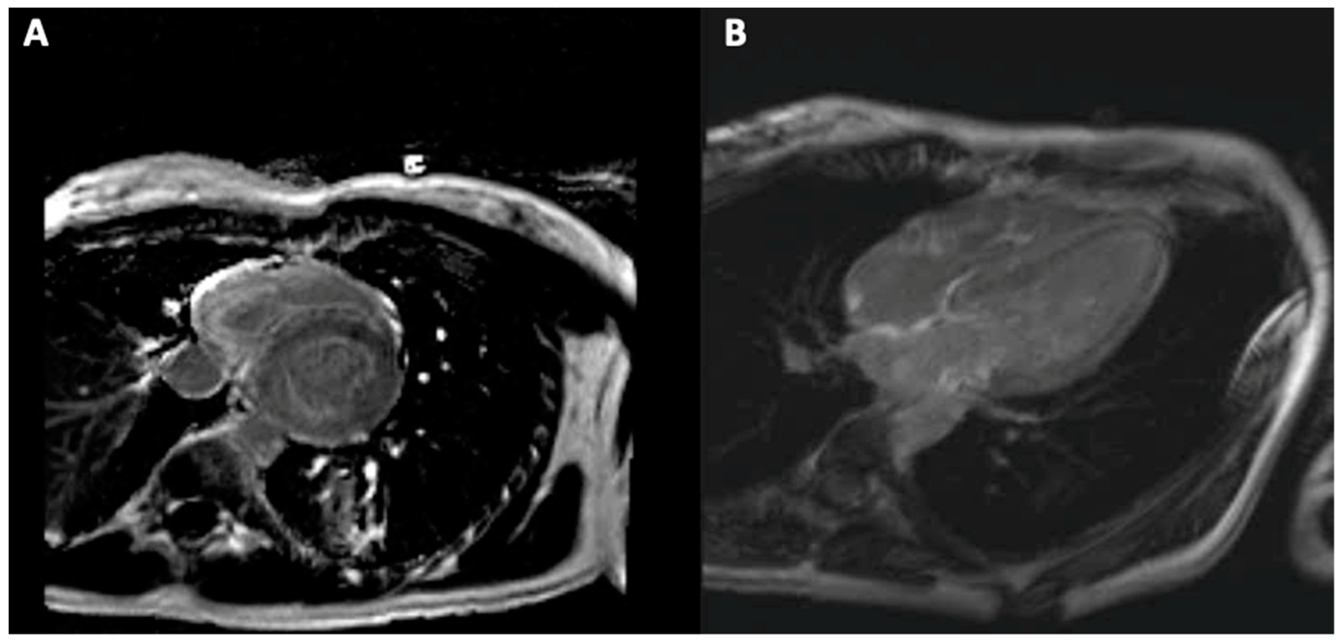Diagnostics 11 00256 g005