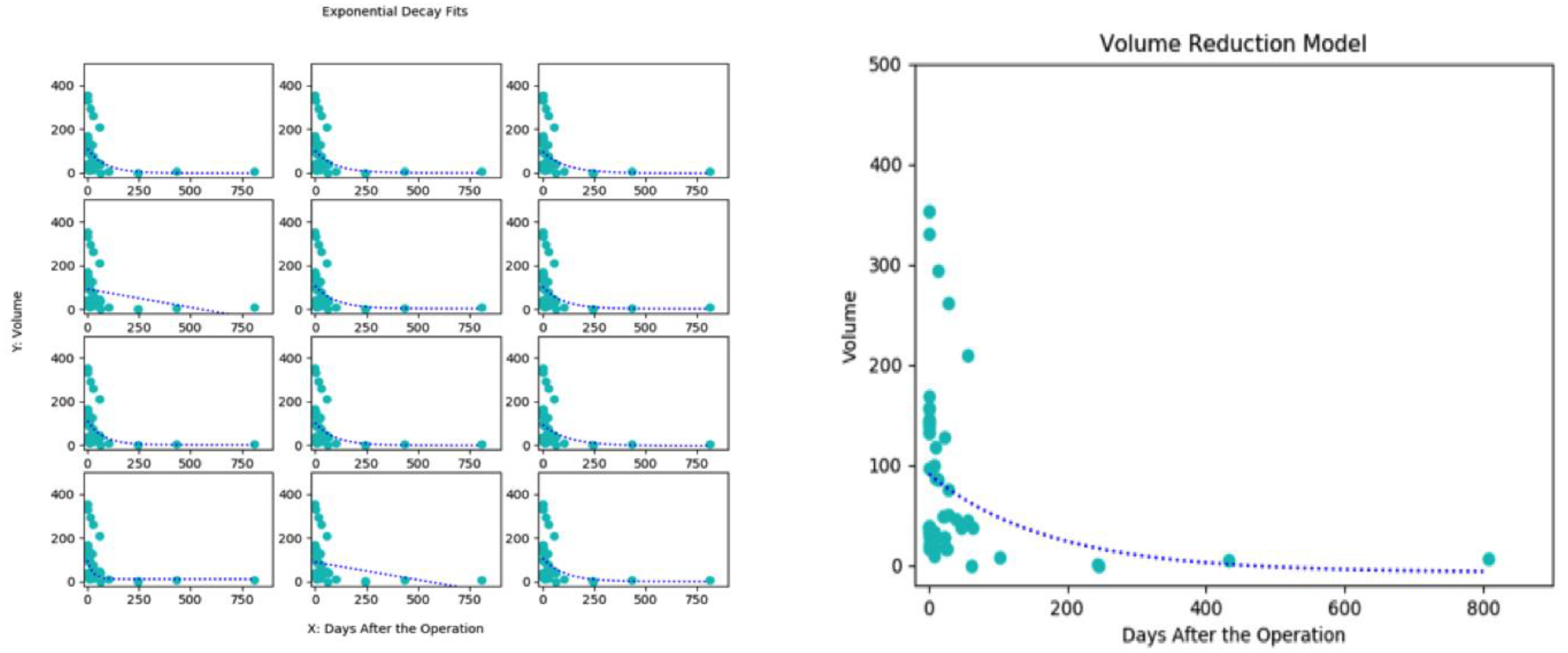 Diagnostics 11 00257 g001