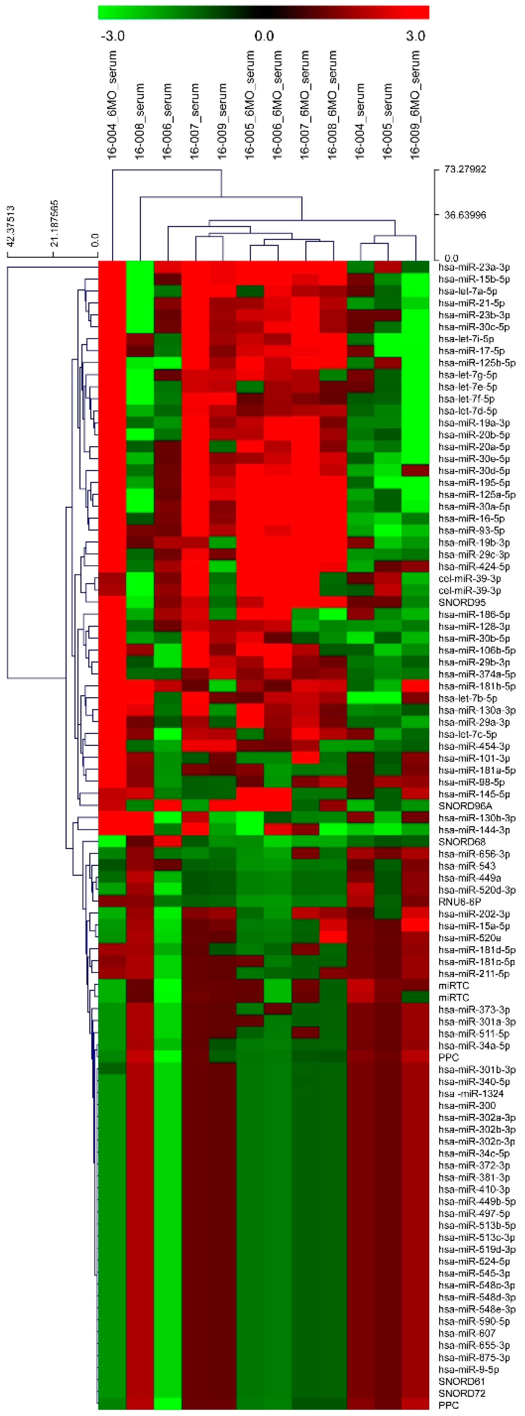 Diagnostics 11 00258 g002