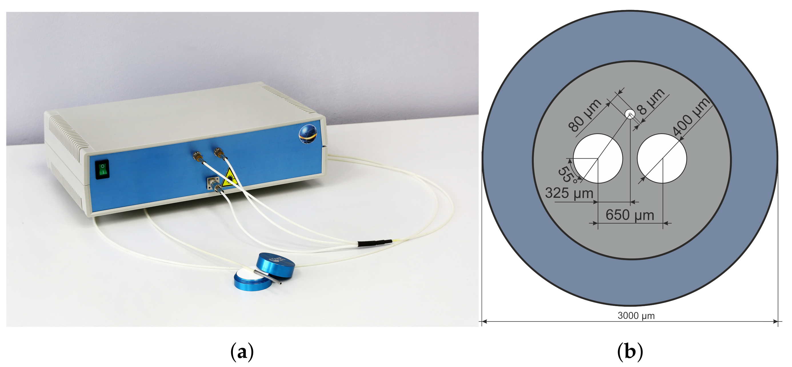 Diagnostics 11 00267 g001