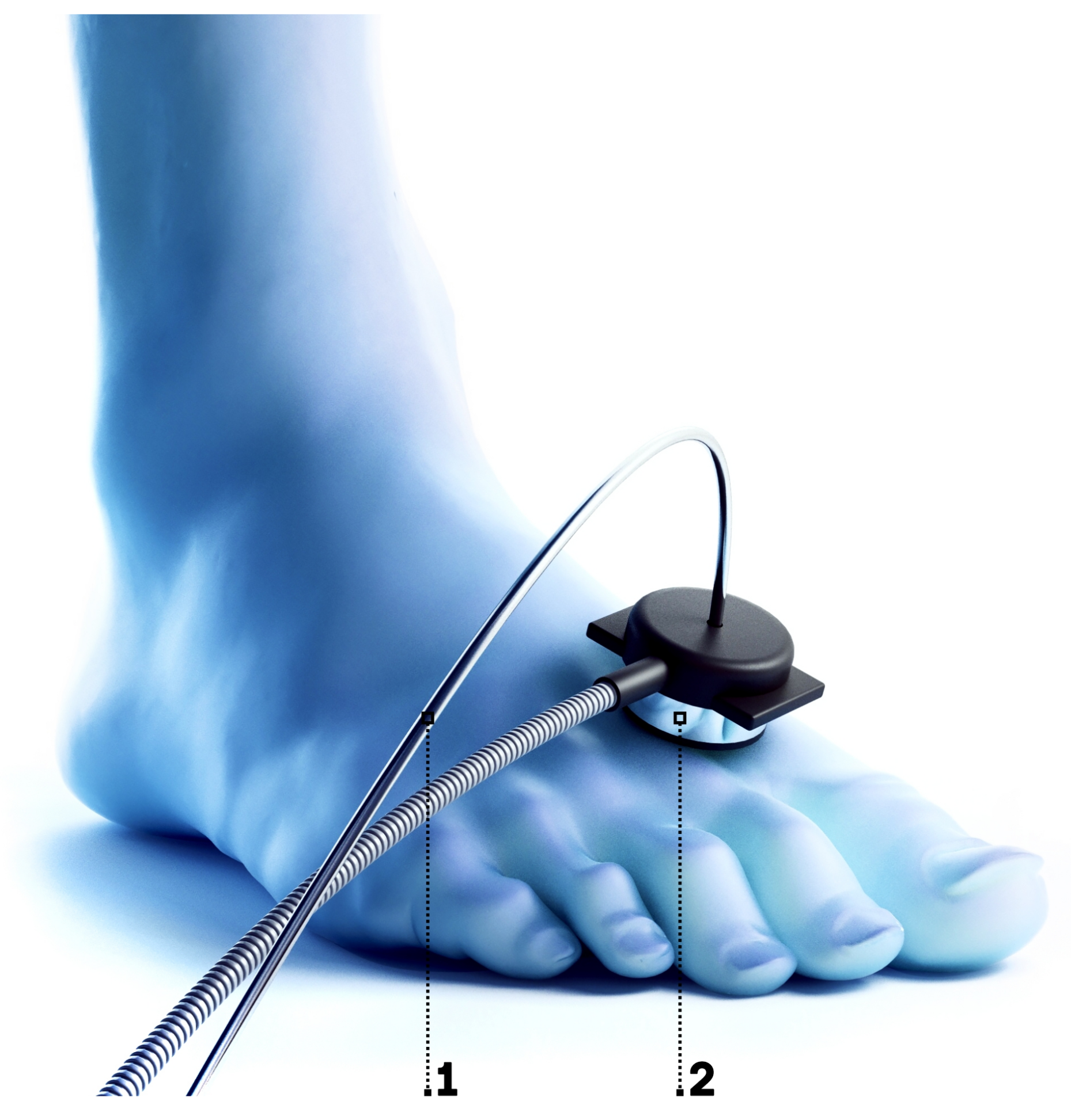 Diagnostics 11 00267 g004