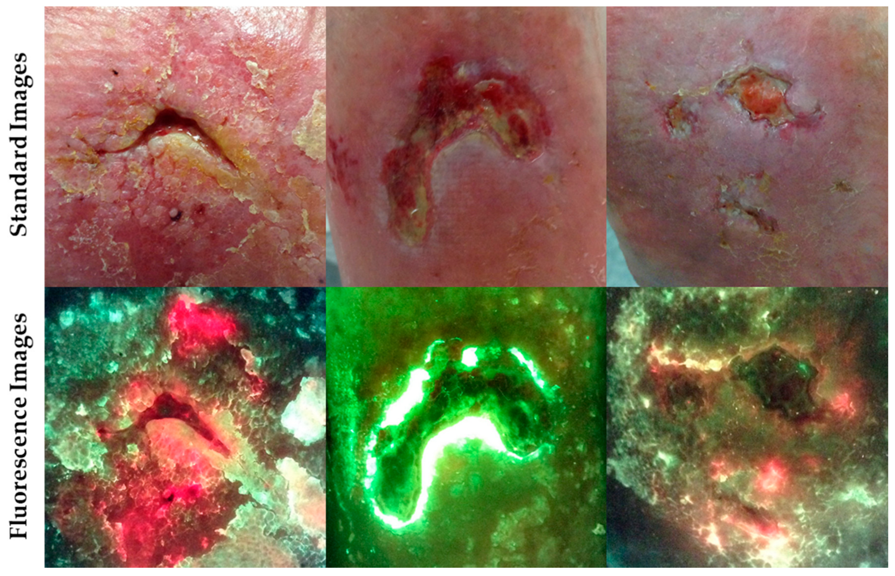 Diagnostics 11 00268 g002