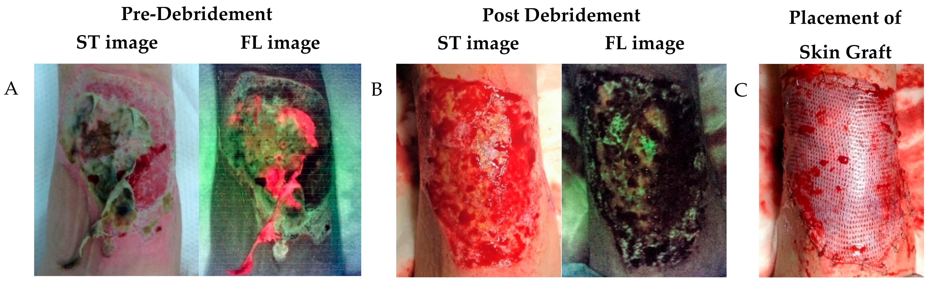 Diagnostics 11 00268 g004