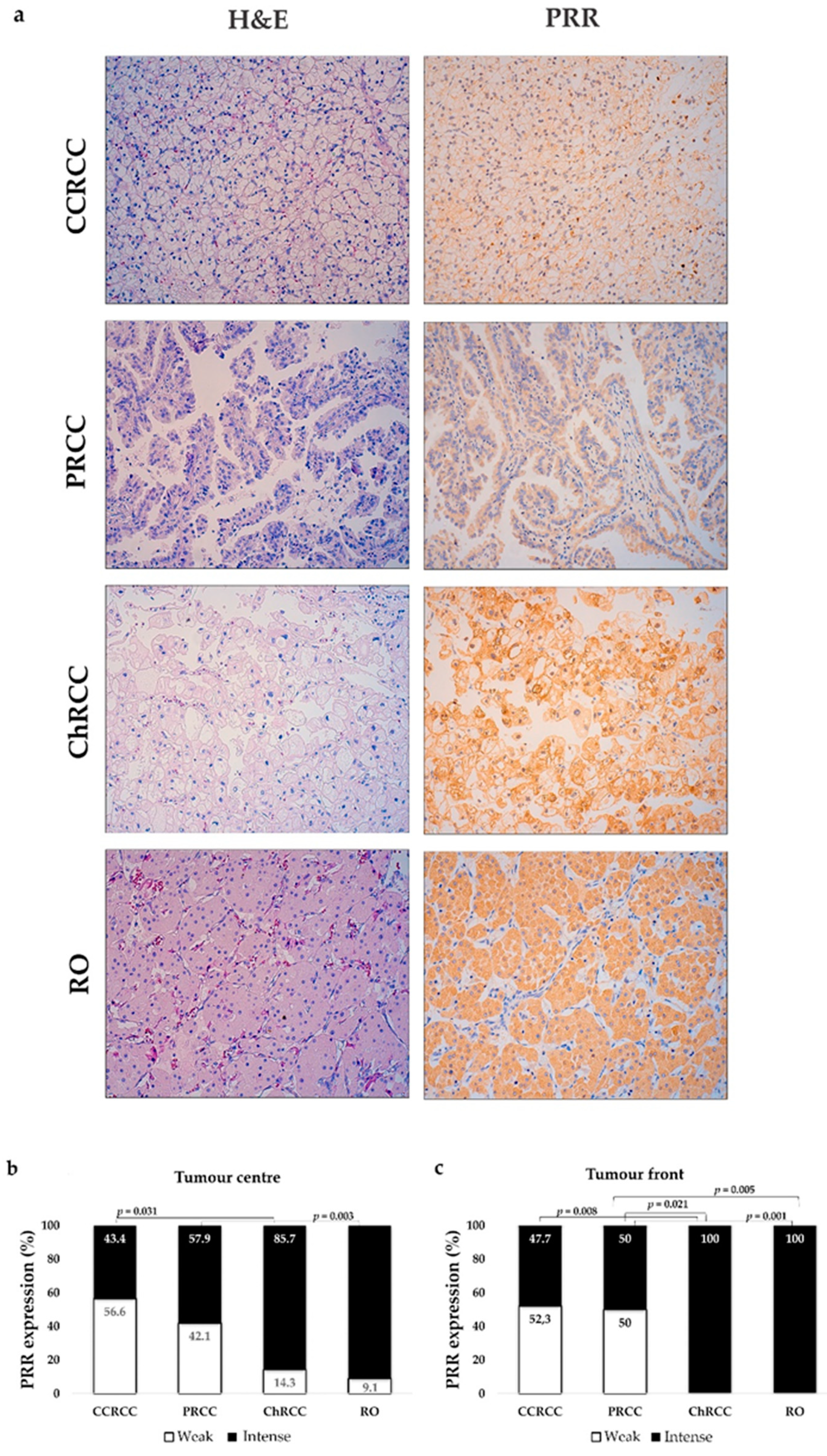 Diagnostics 11 00272 g002