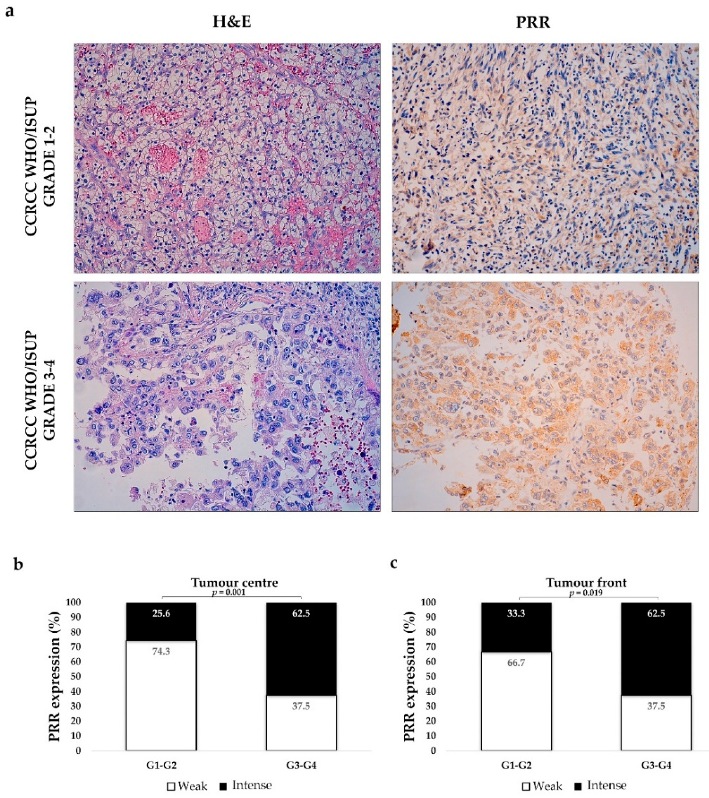 Diagnostics 11 00272 g003