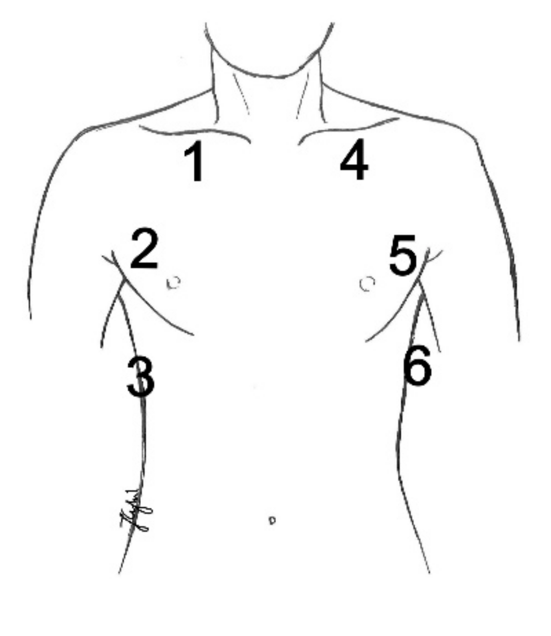 Diagnostics 11 00276 g001