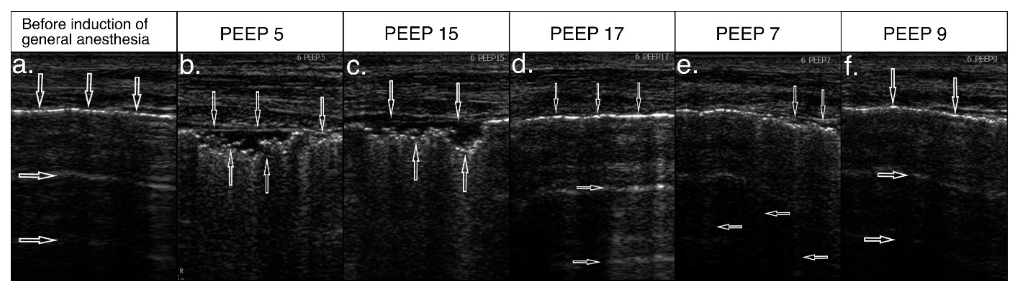 Diagnostics 11 00276 g003