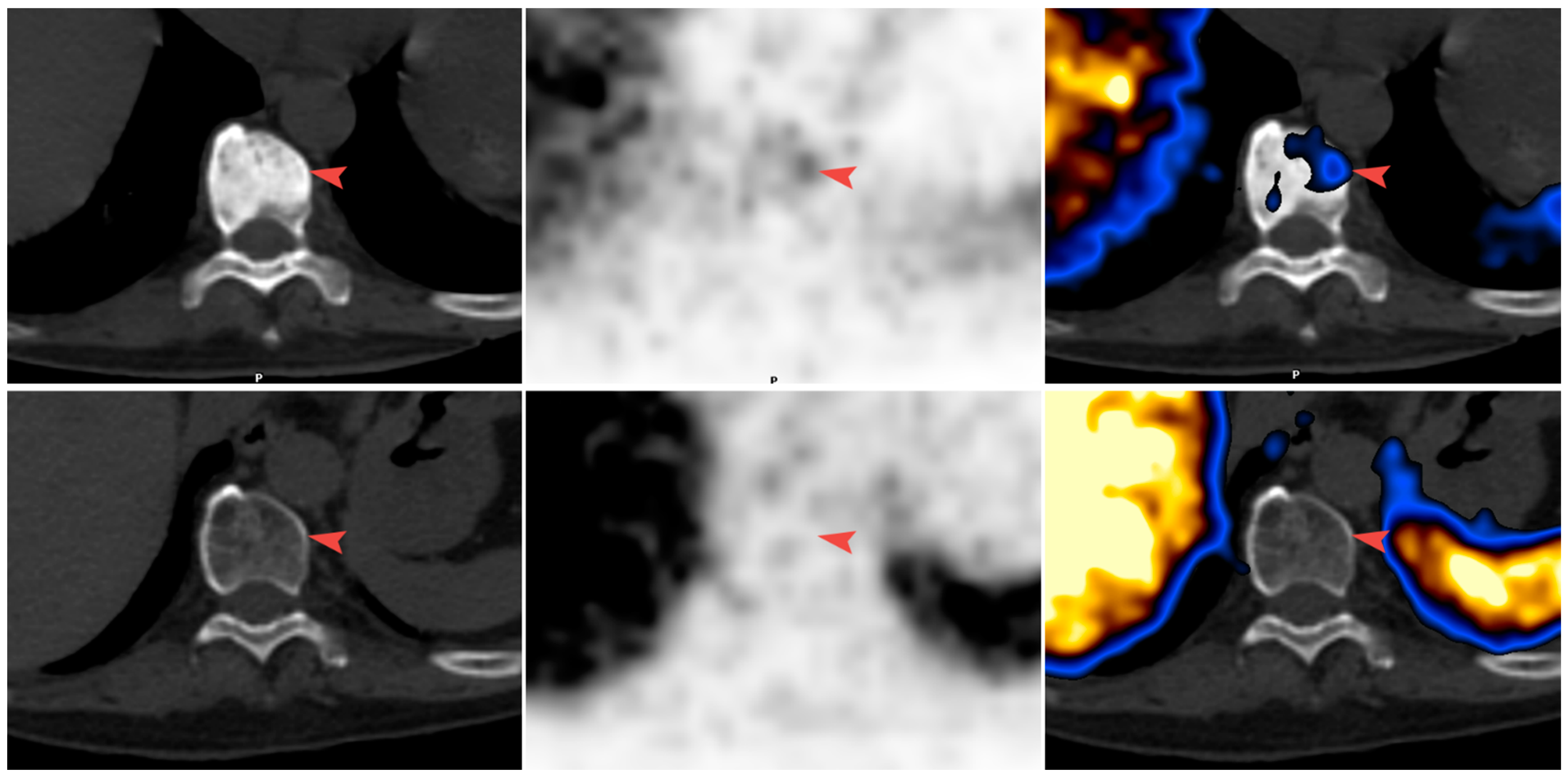 Diagnostics 11 00277 g001 Diagnostics 11 00277 g001