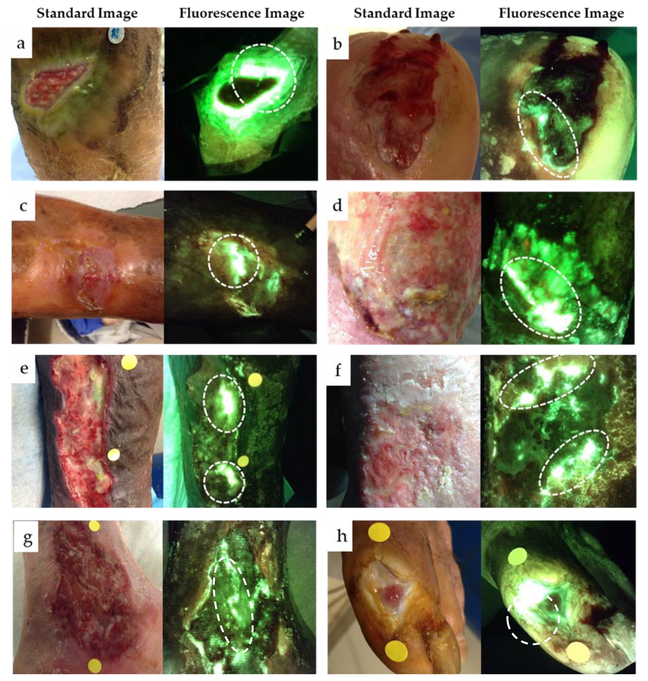 Diagnostics 11 00280 g002