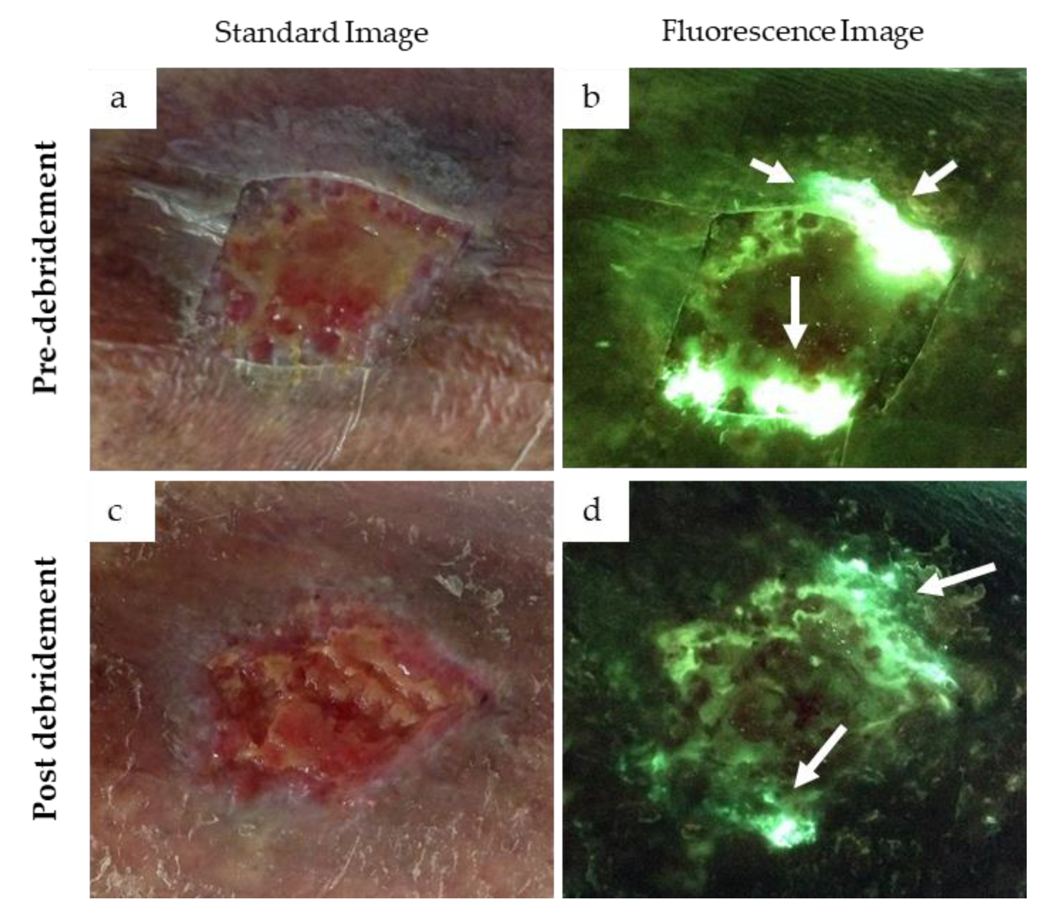 Diagnostics 11 00280 g004