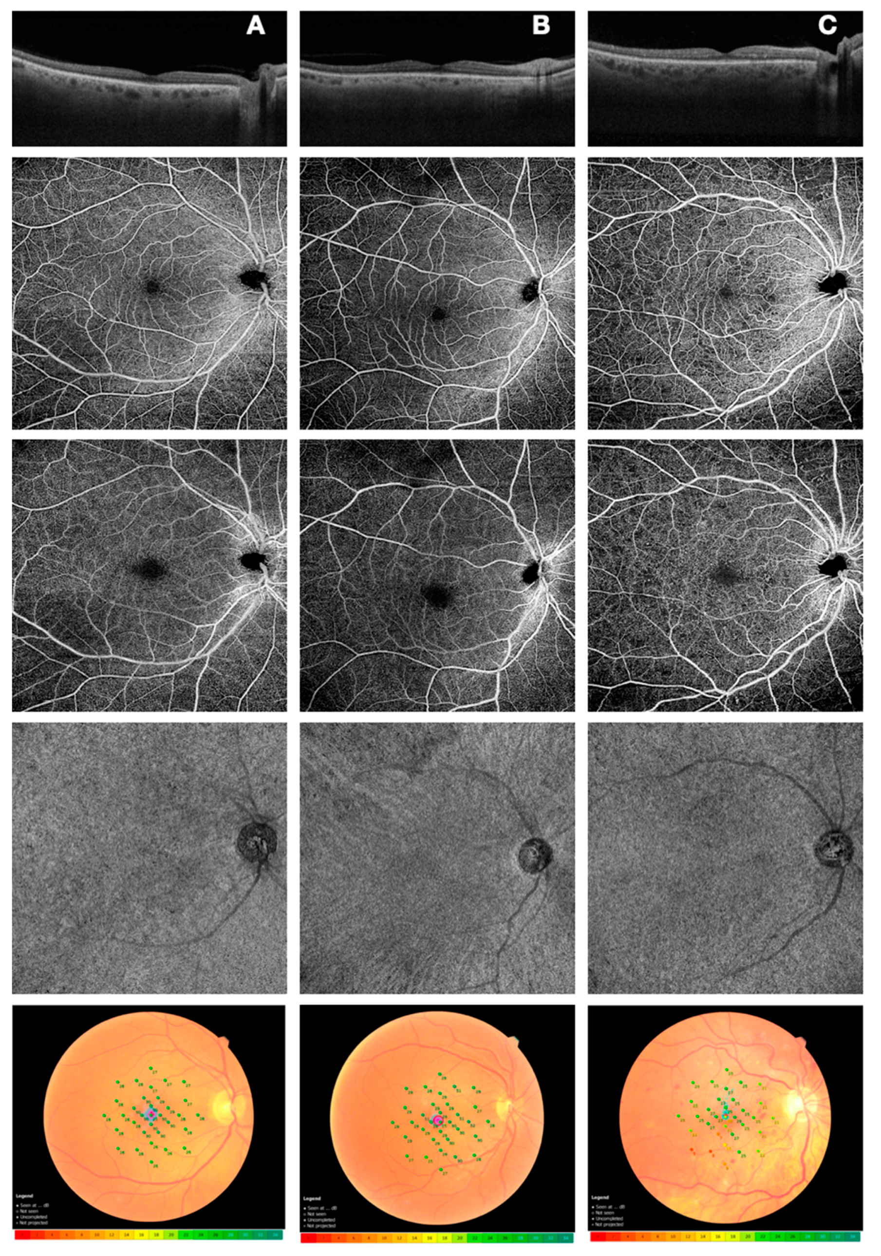 Diagnostics 11 00284 g001