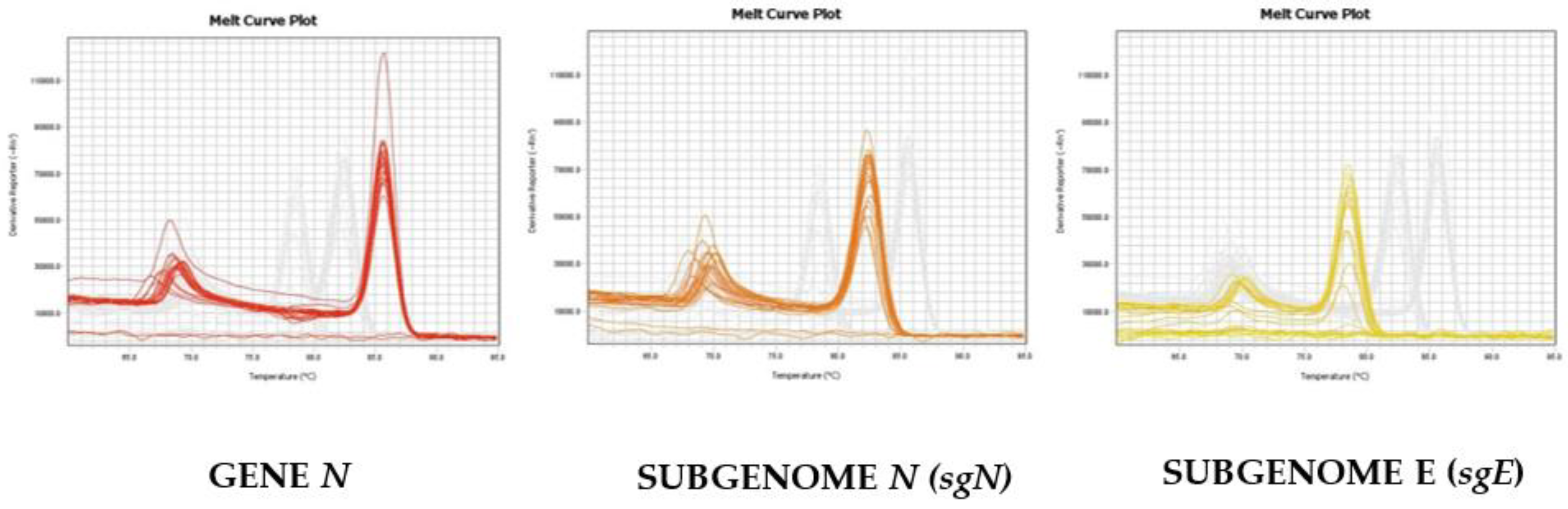 Diagnostics 11 00288 g002