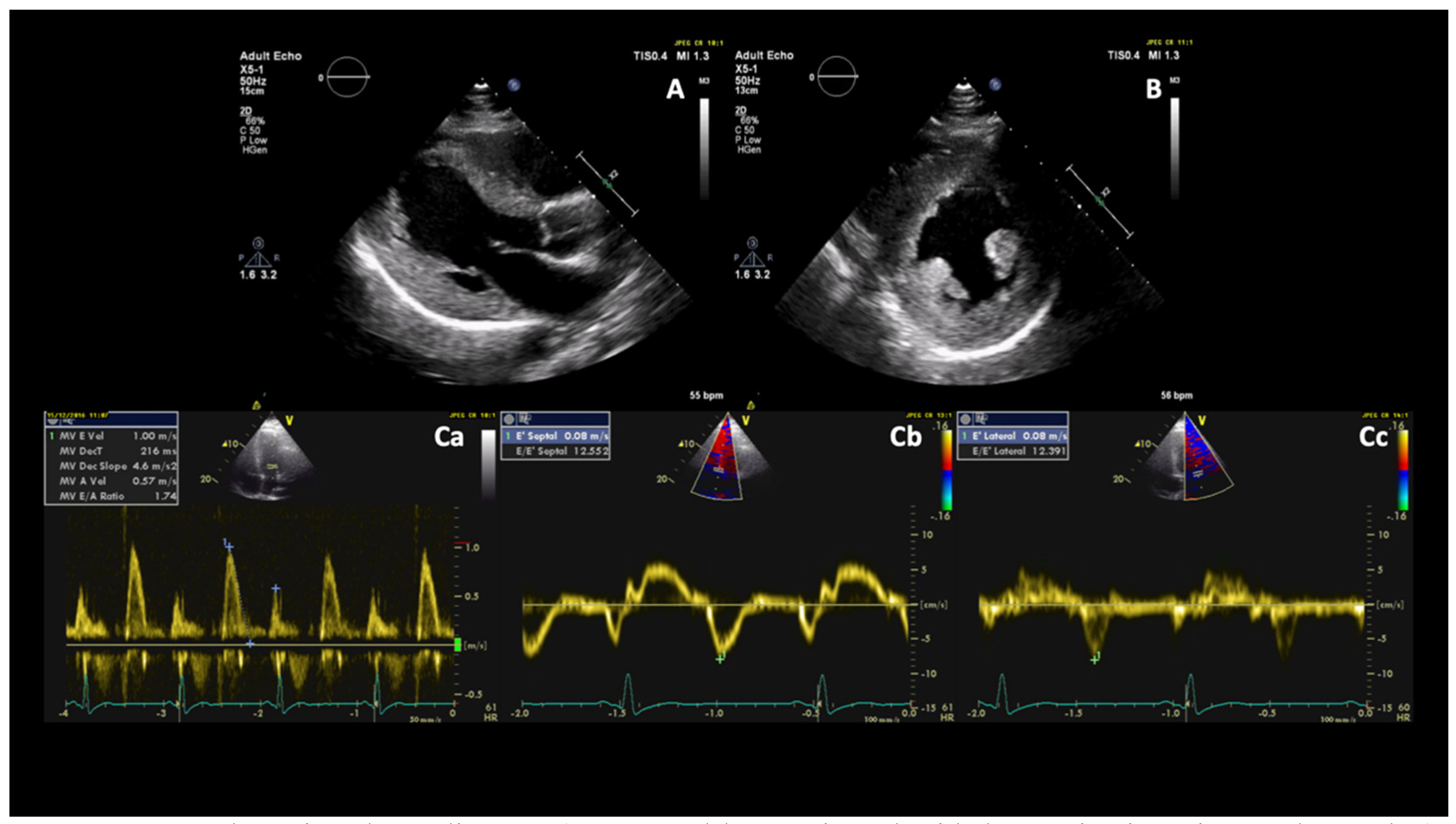 Diagnostics 11 00295 g002