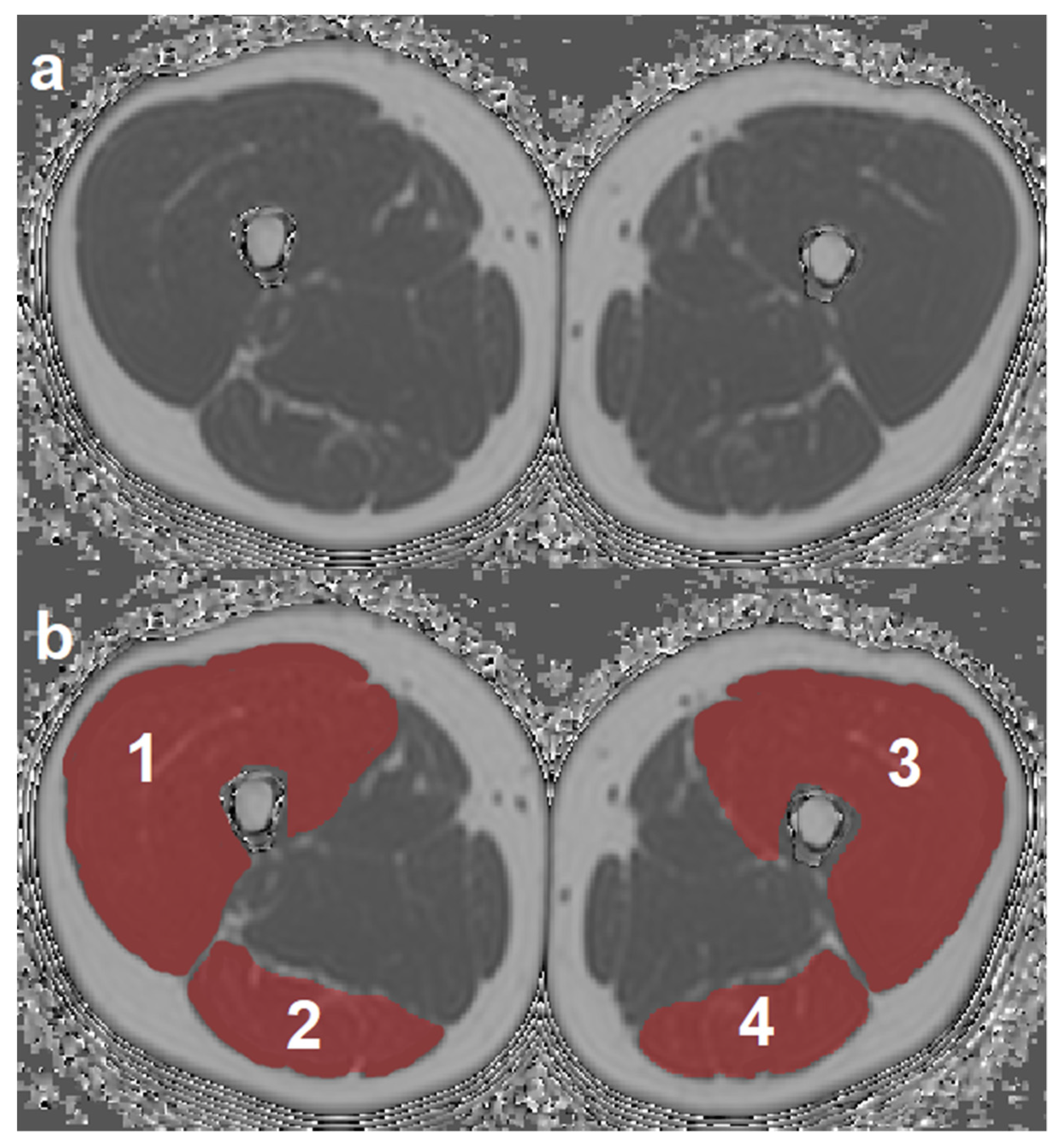 Diagnostics 11 00302 g001