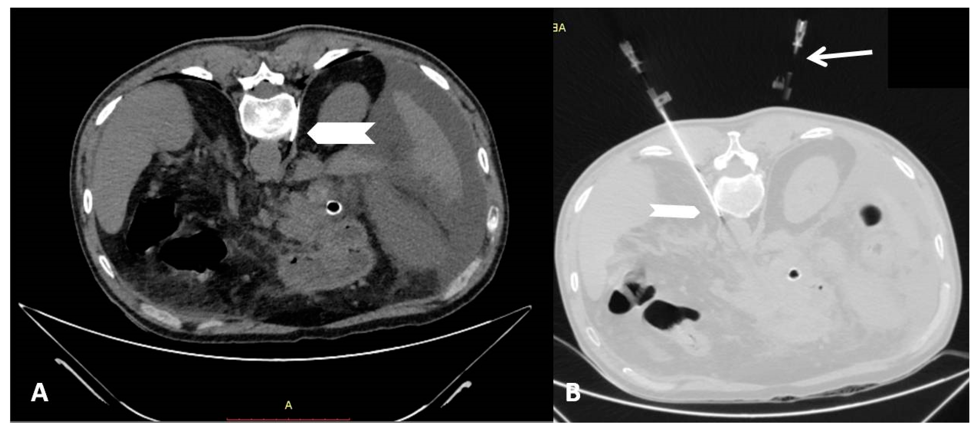 Diagnostics 11 00303 g001