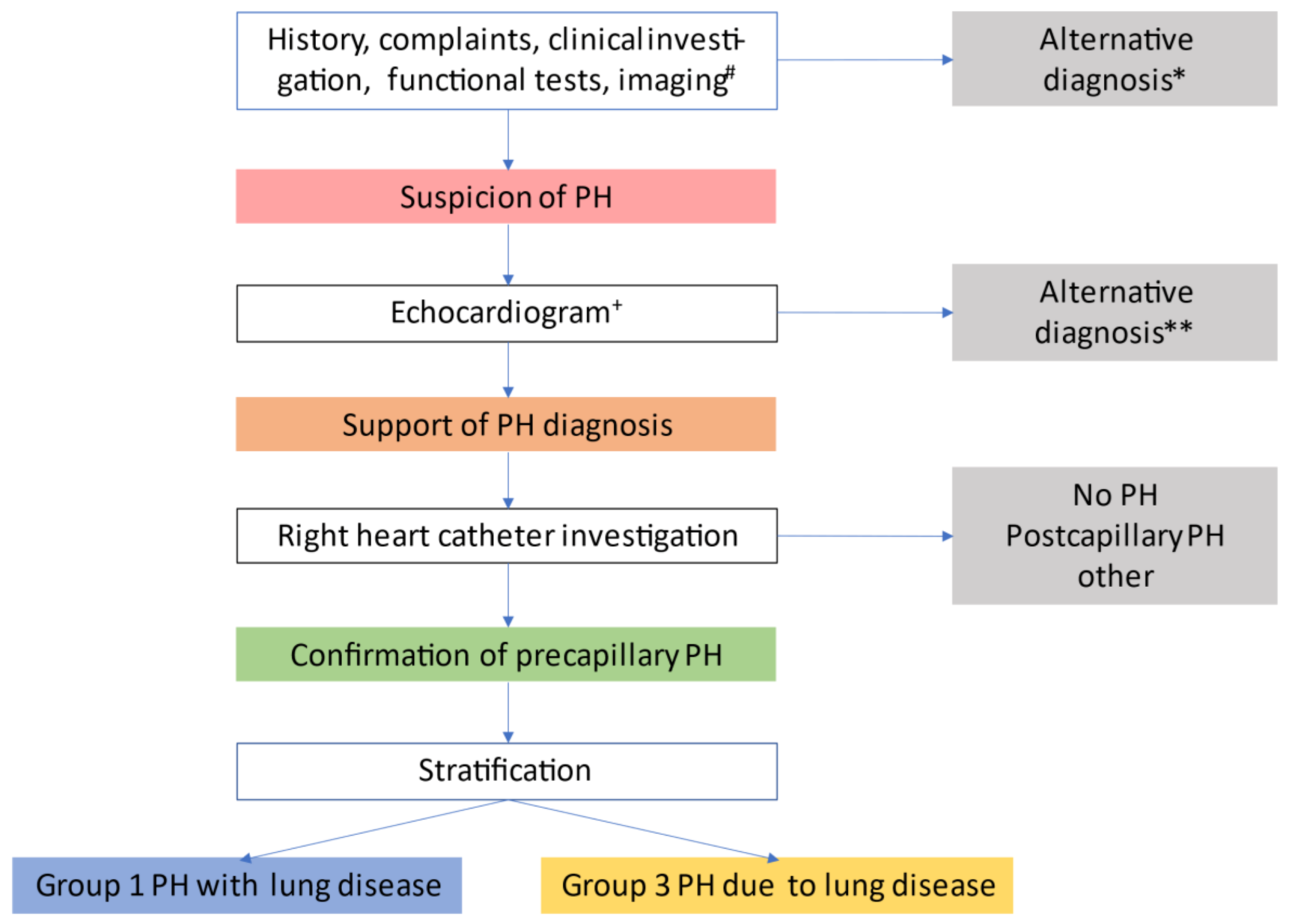 Diagnostics 11 00311 g002