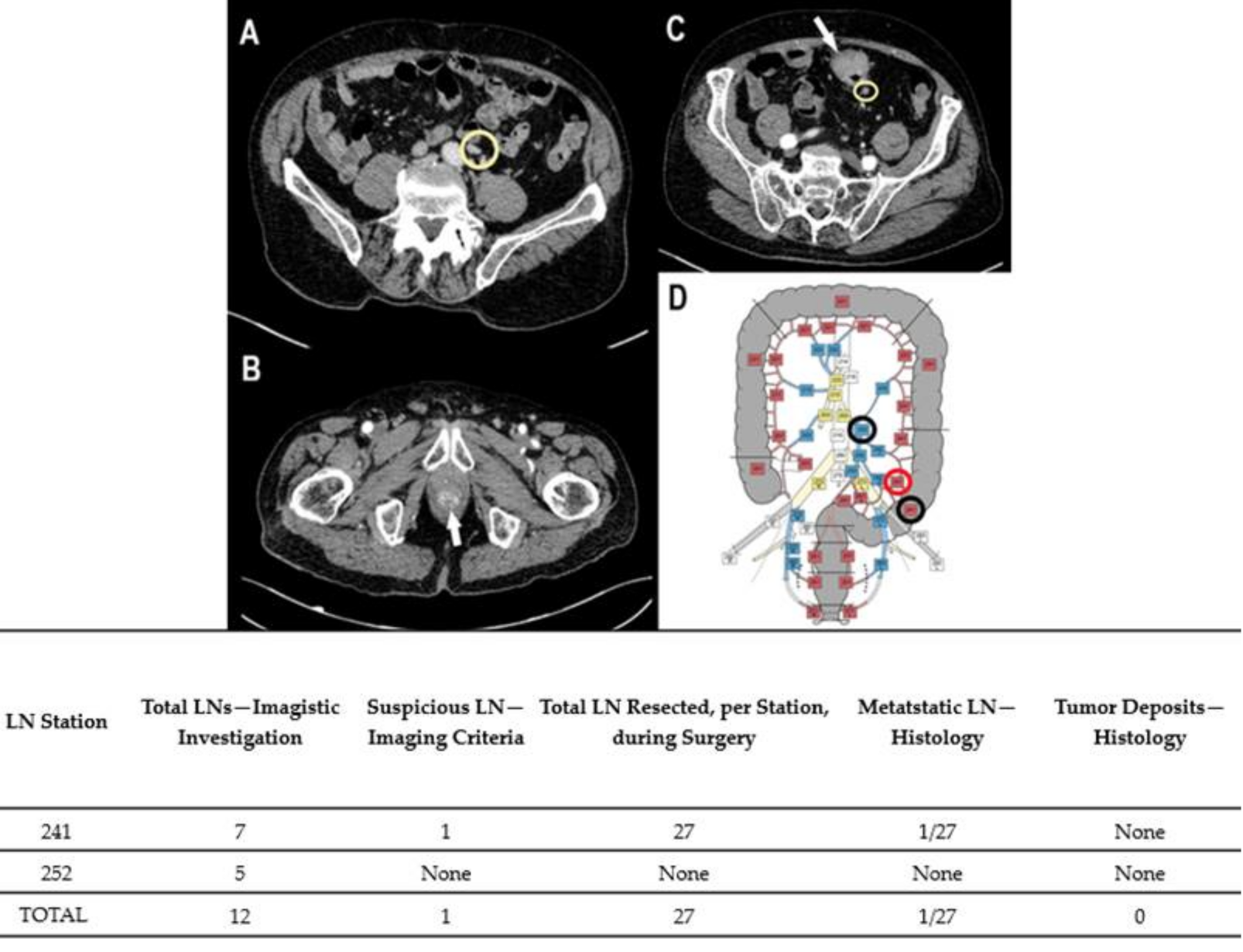 Diagnostics 11 00314 g003