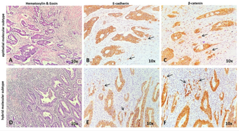 Diagnostics 11 00314 g007