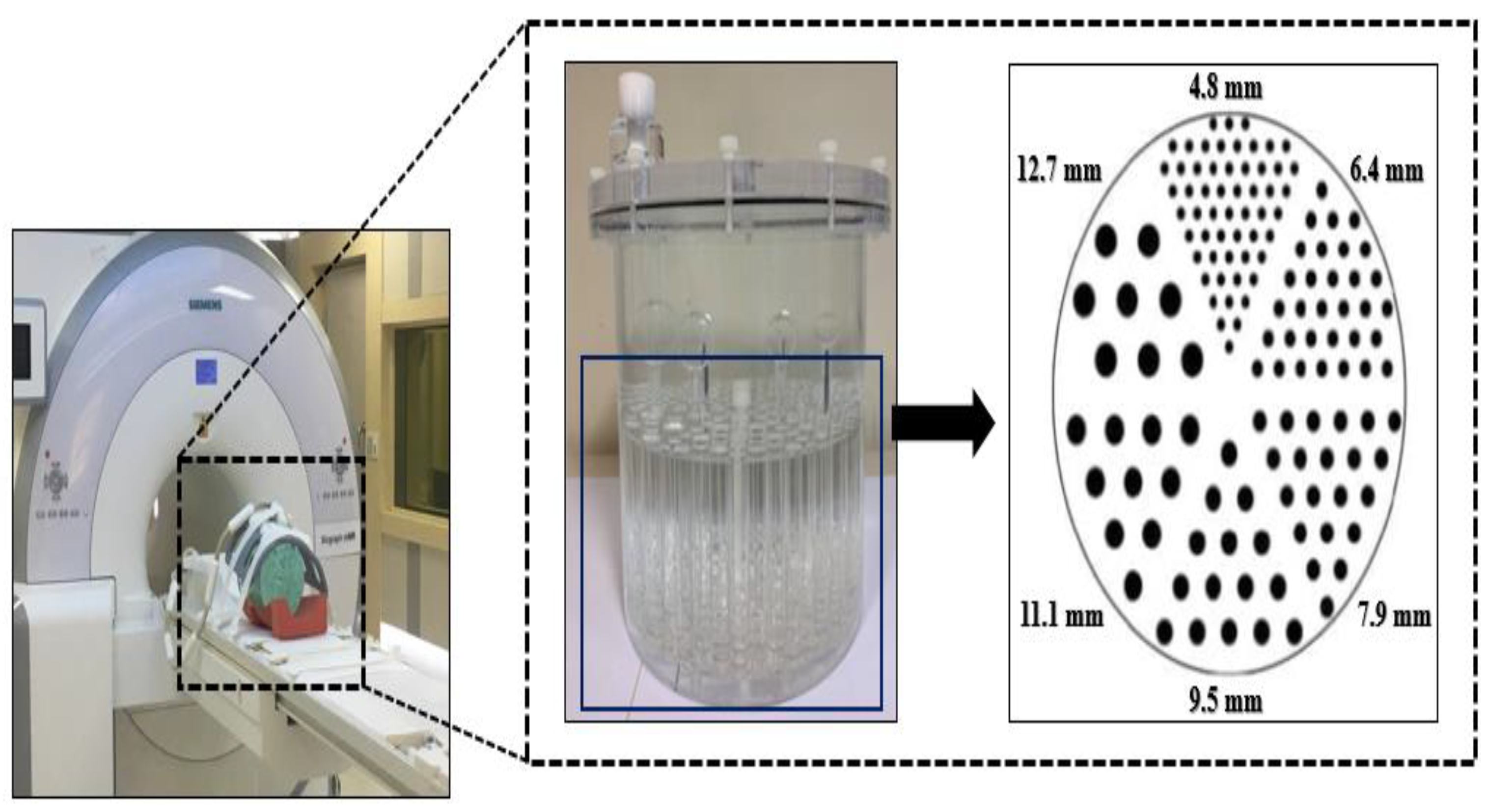 Diagnostics 11 00319 g001