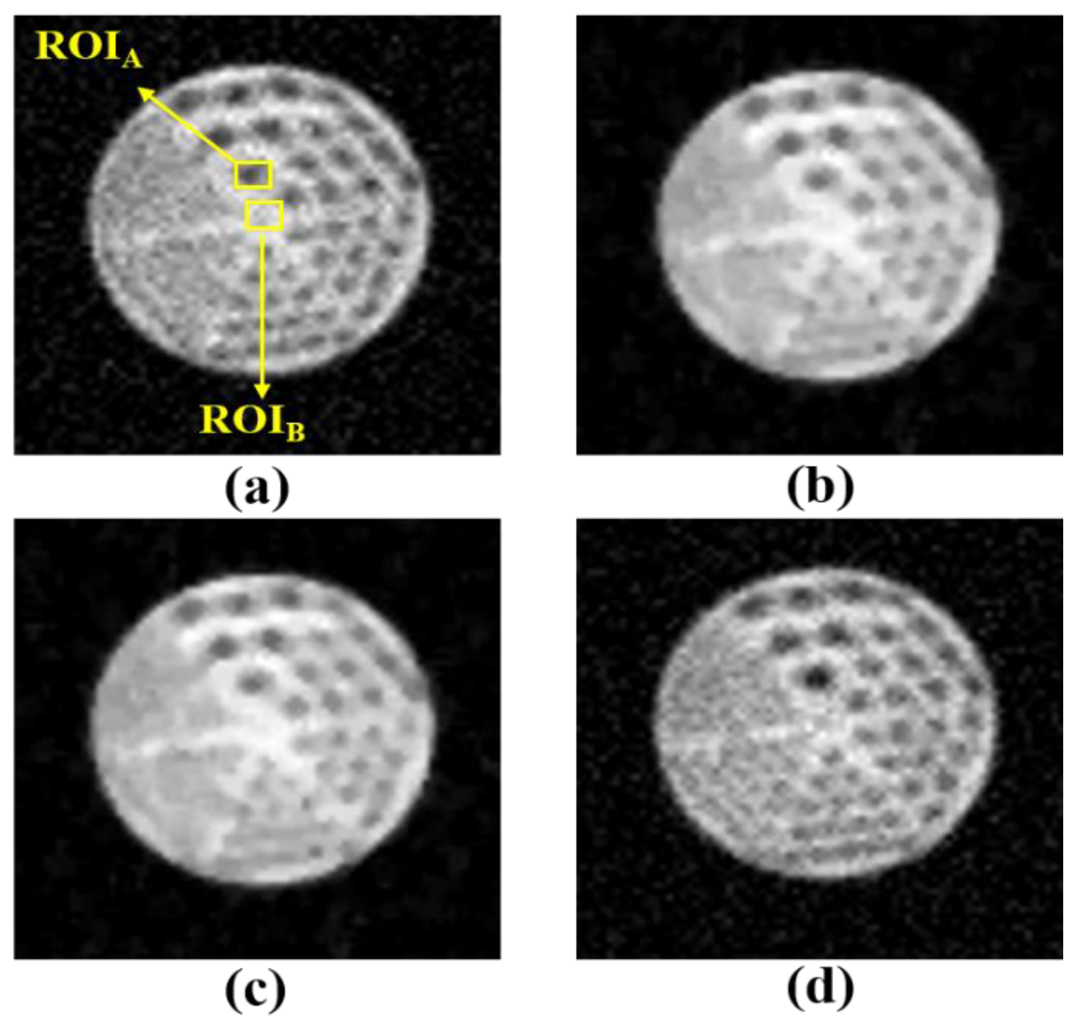 Diagnostics 11 00319 g003