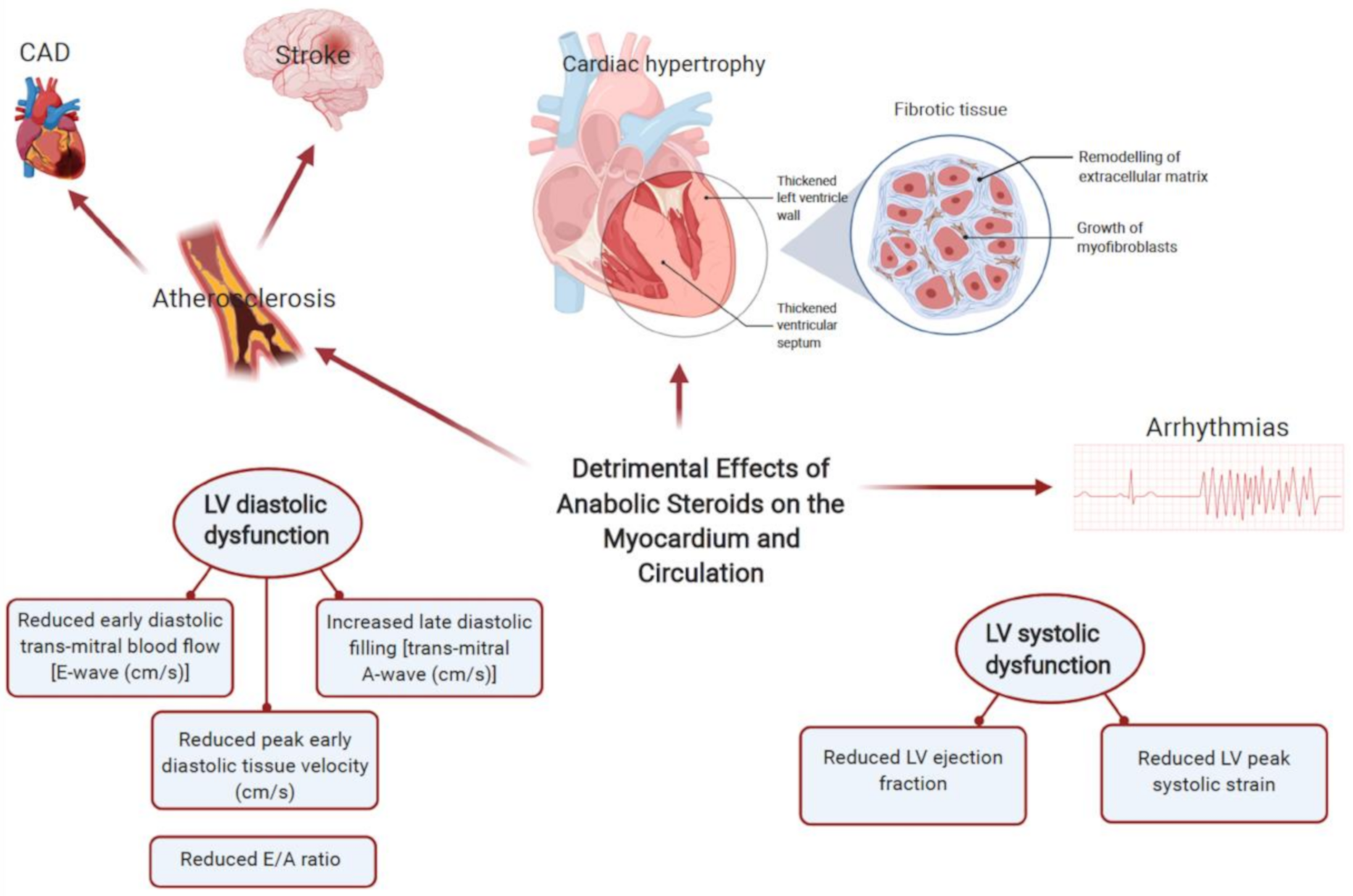 Diagnostics 11 00324 g002