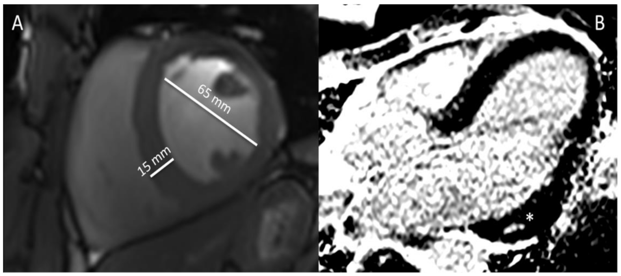 Diagnostics 11 00324 g003