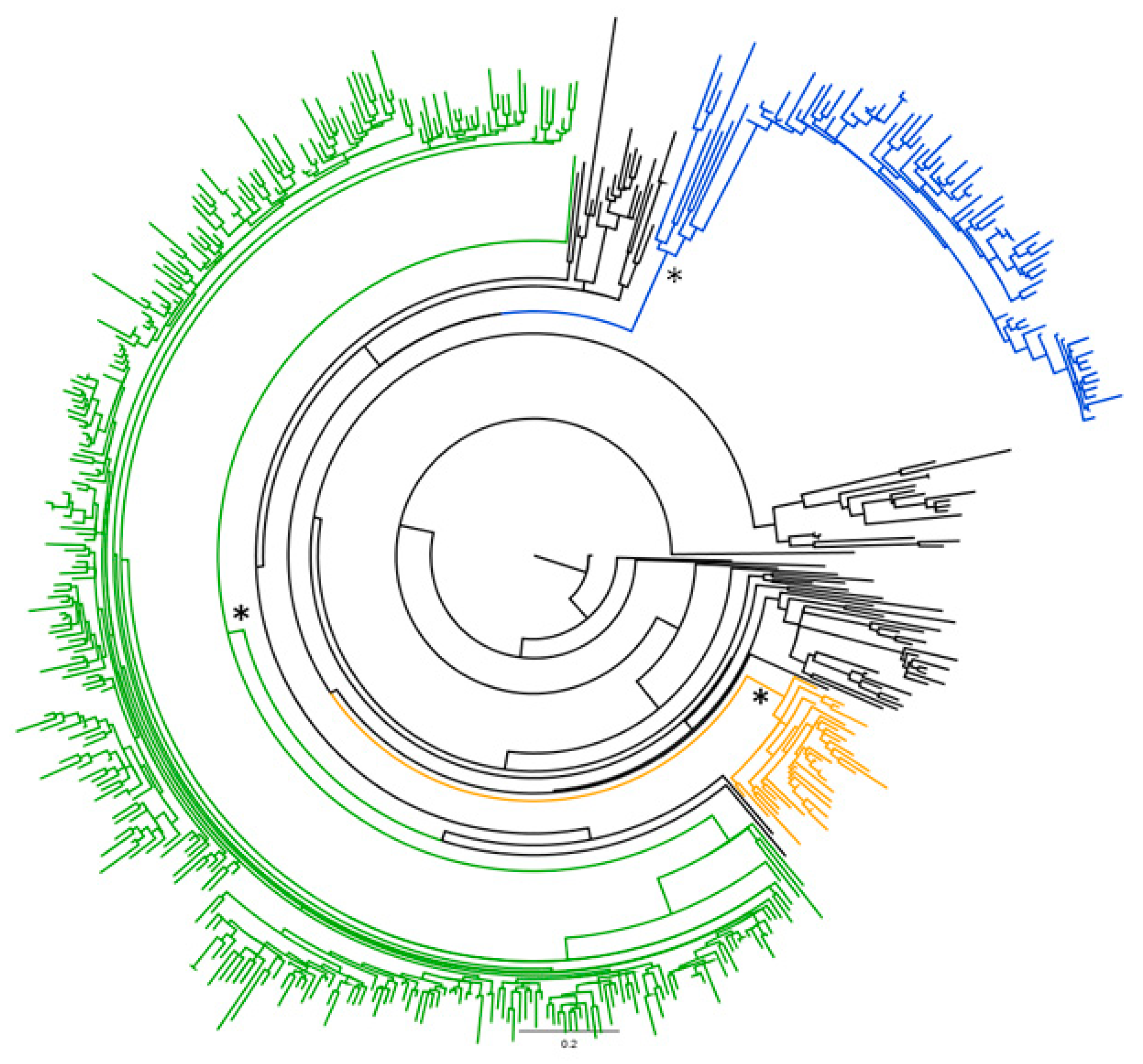 Diagnostics 11 00327 g001