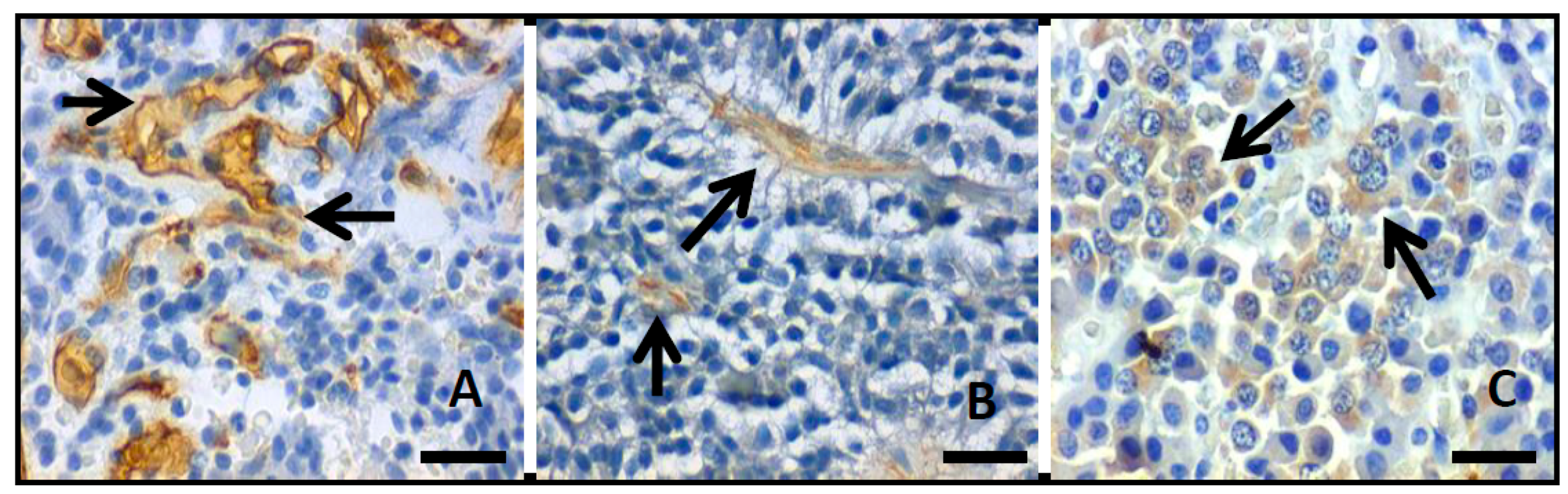 Diagnostics 11 00330 g003