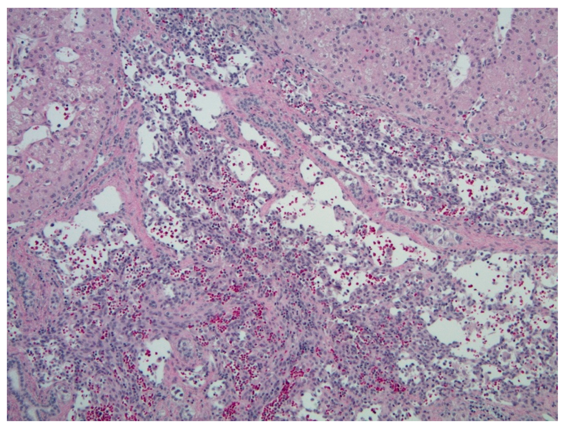 Diagnostics 11 00333 g003