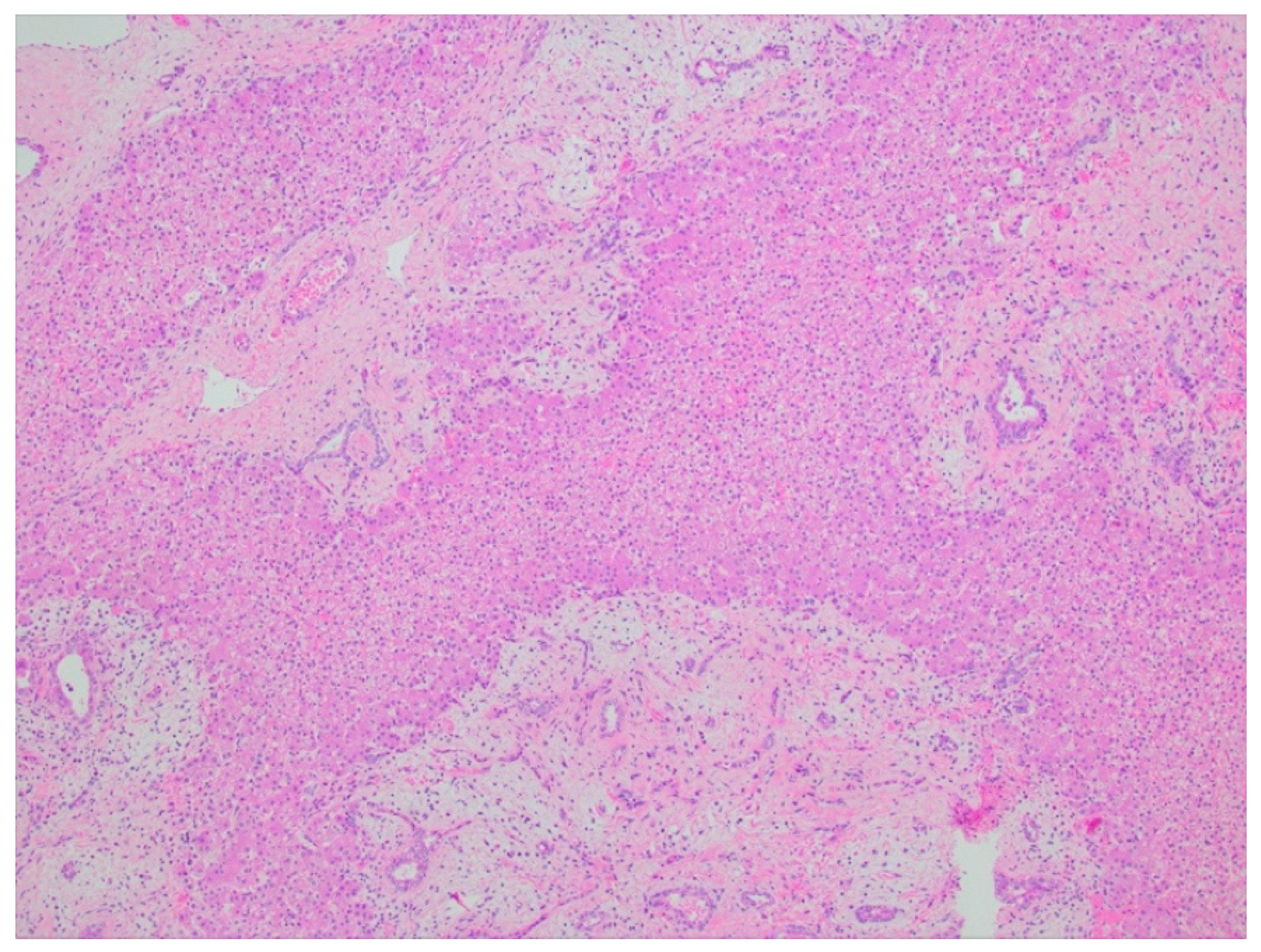 Diagnostics 11 00333 g004