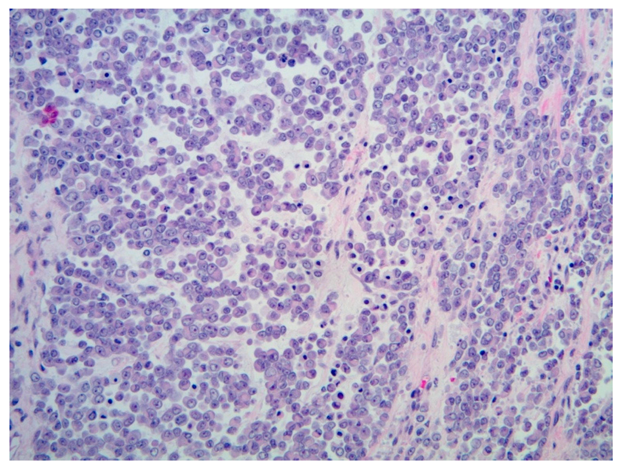 Diagnostics 11 00333 g007