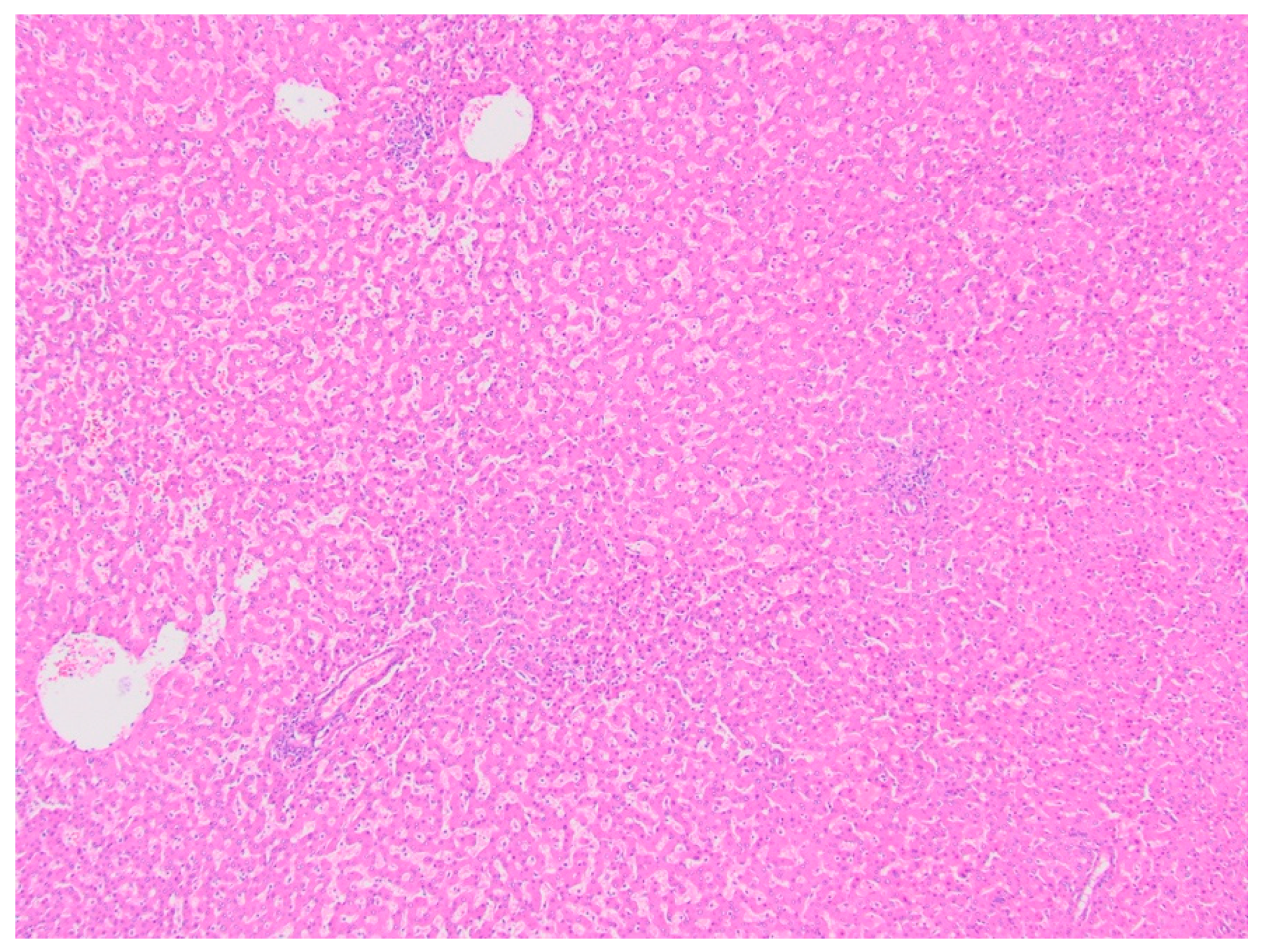 Diagnostics 11 00333 g008