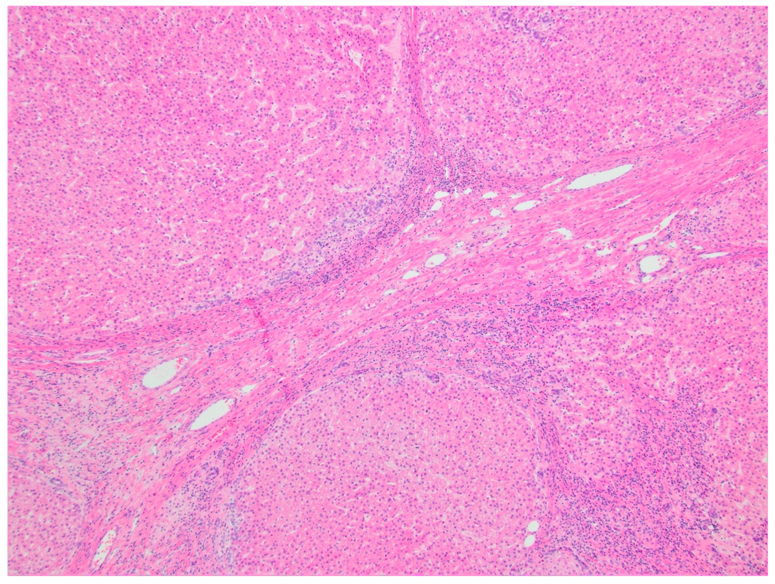 Diagnostics 11 00333 g009